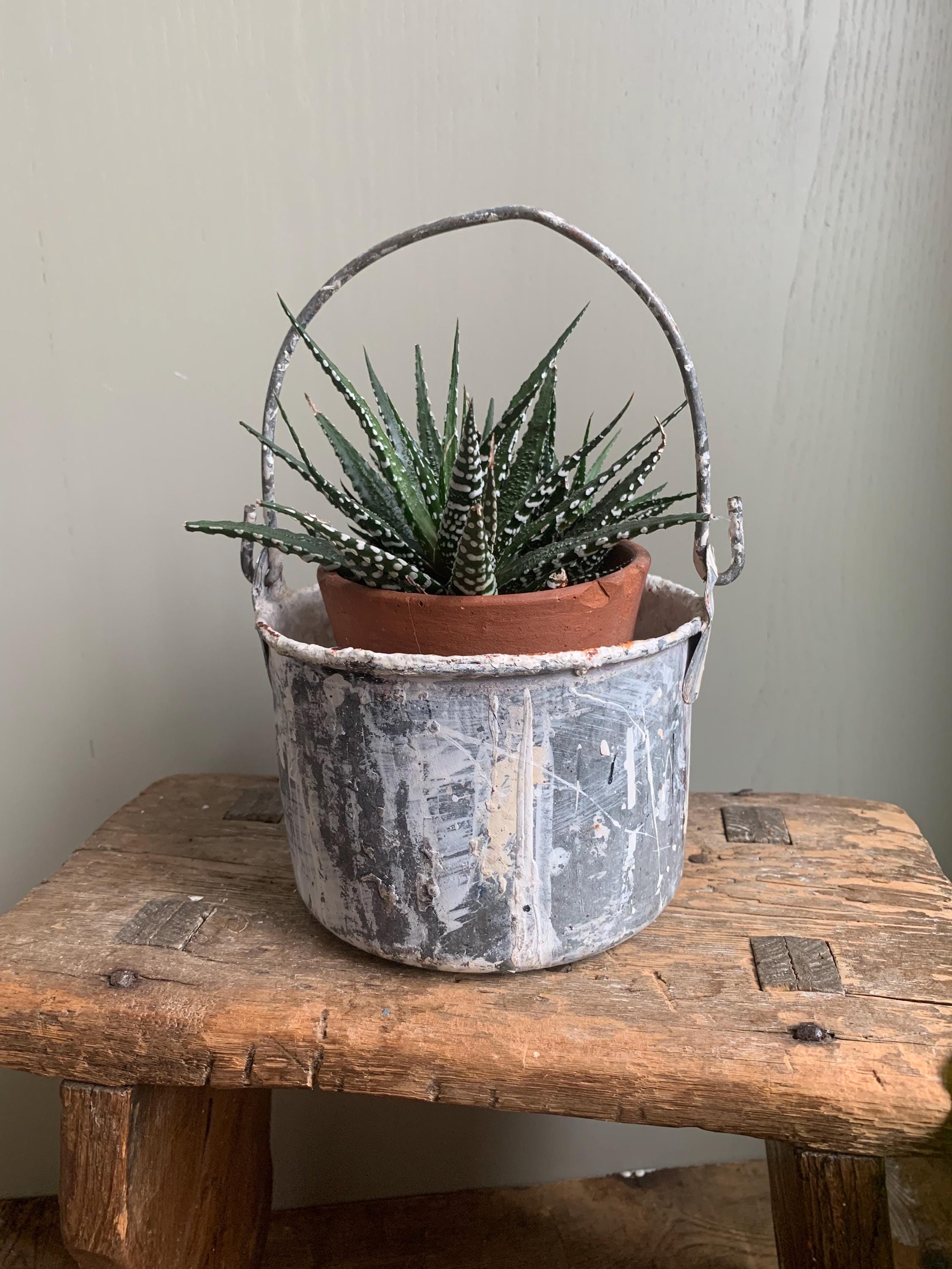 Small Vintage Paint Kettle/Pot, Planter
