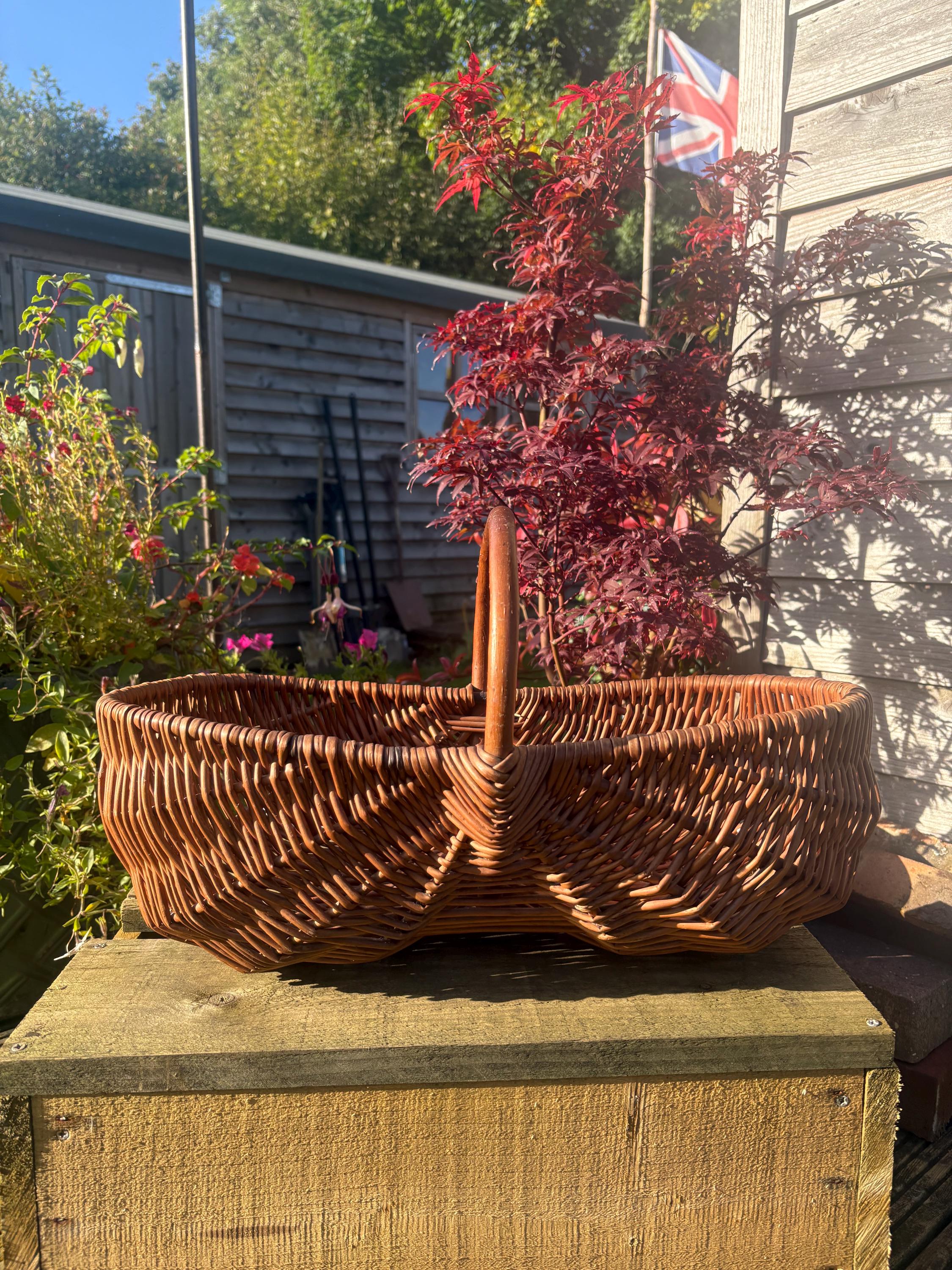 Wicker Grape Basket, Wicker Basket