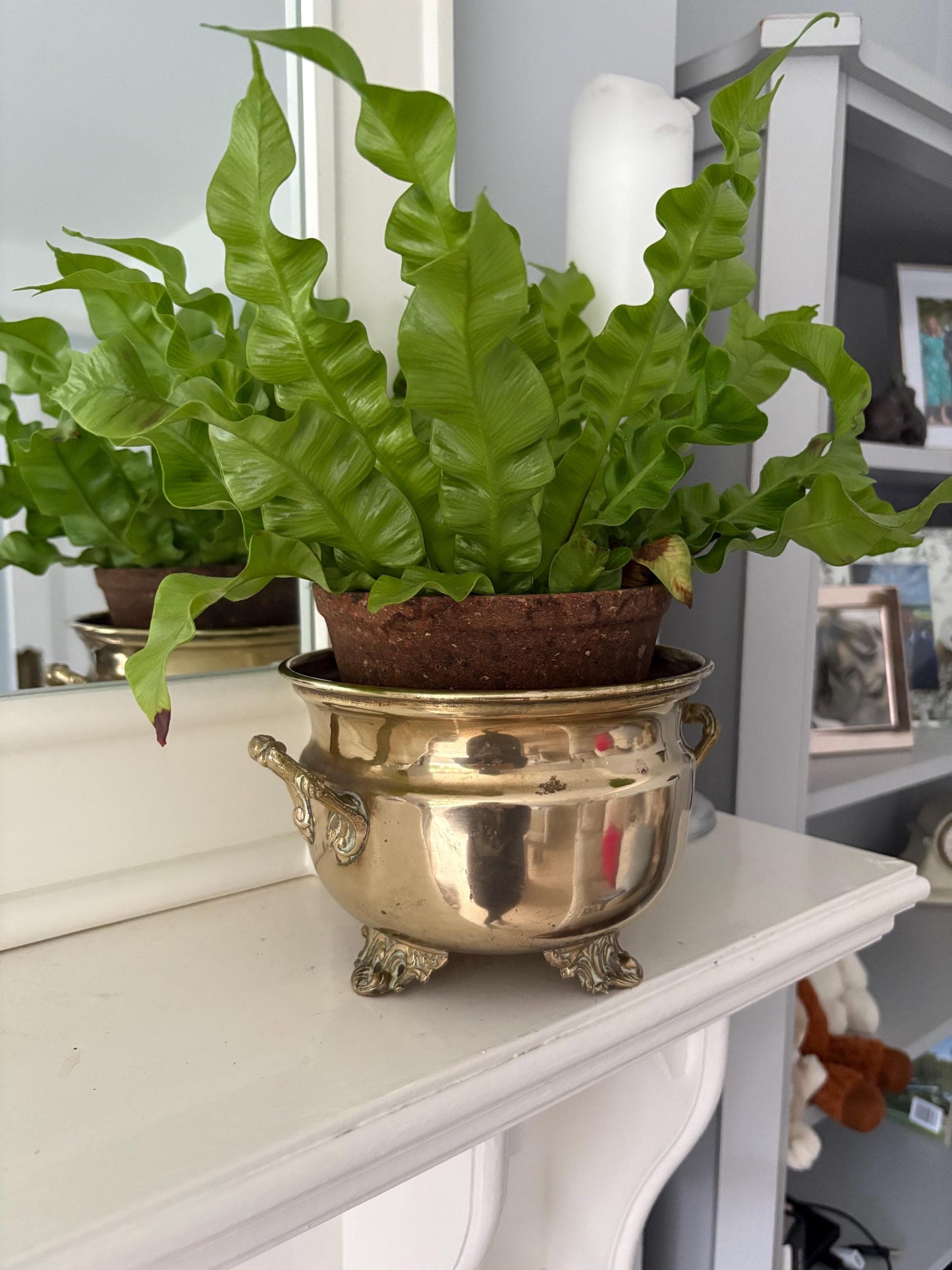 Brass Planter