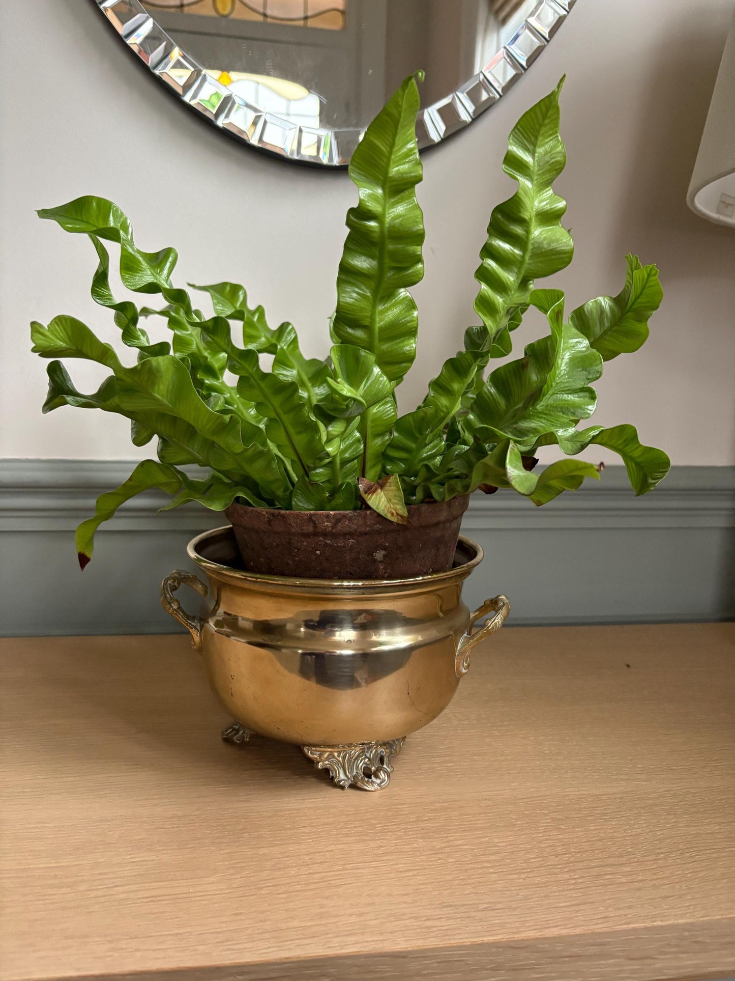 Brass Planter