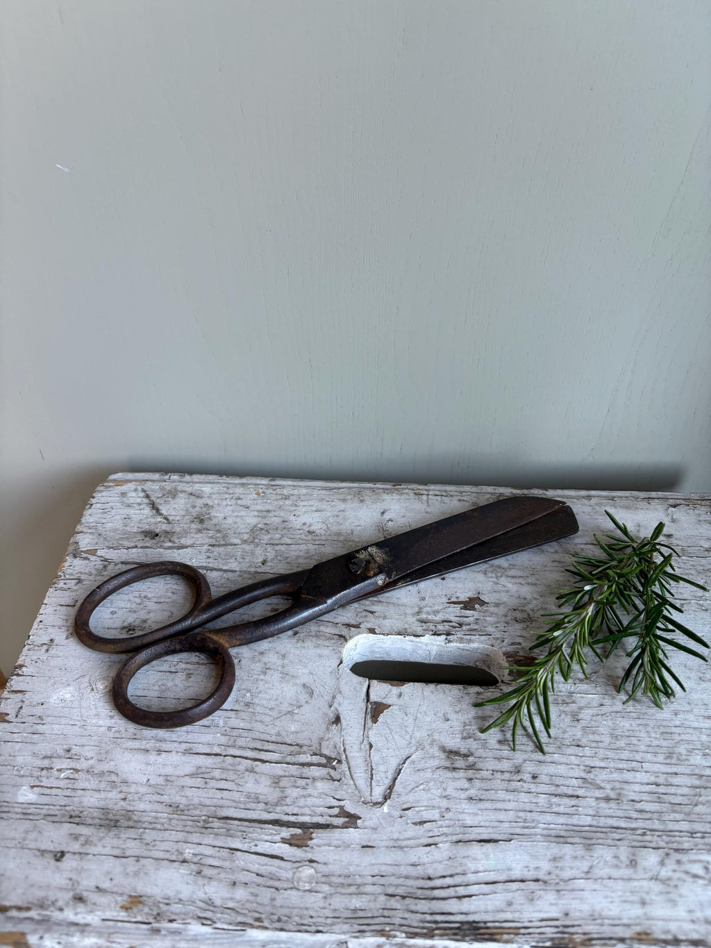 Large Old Pair of Scissors.
