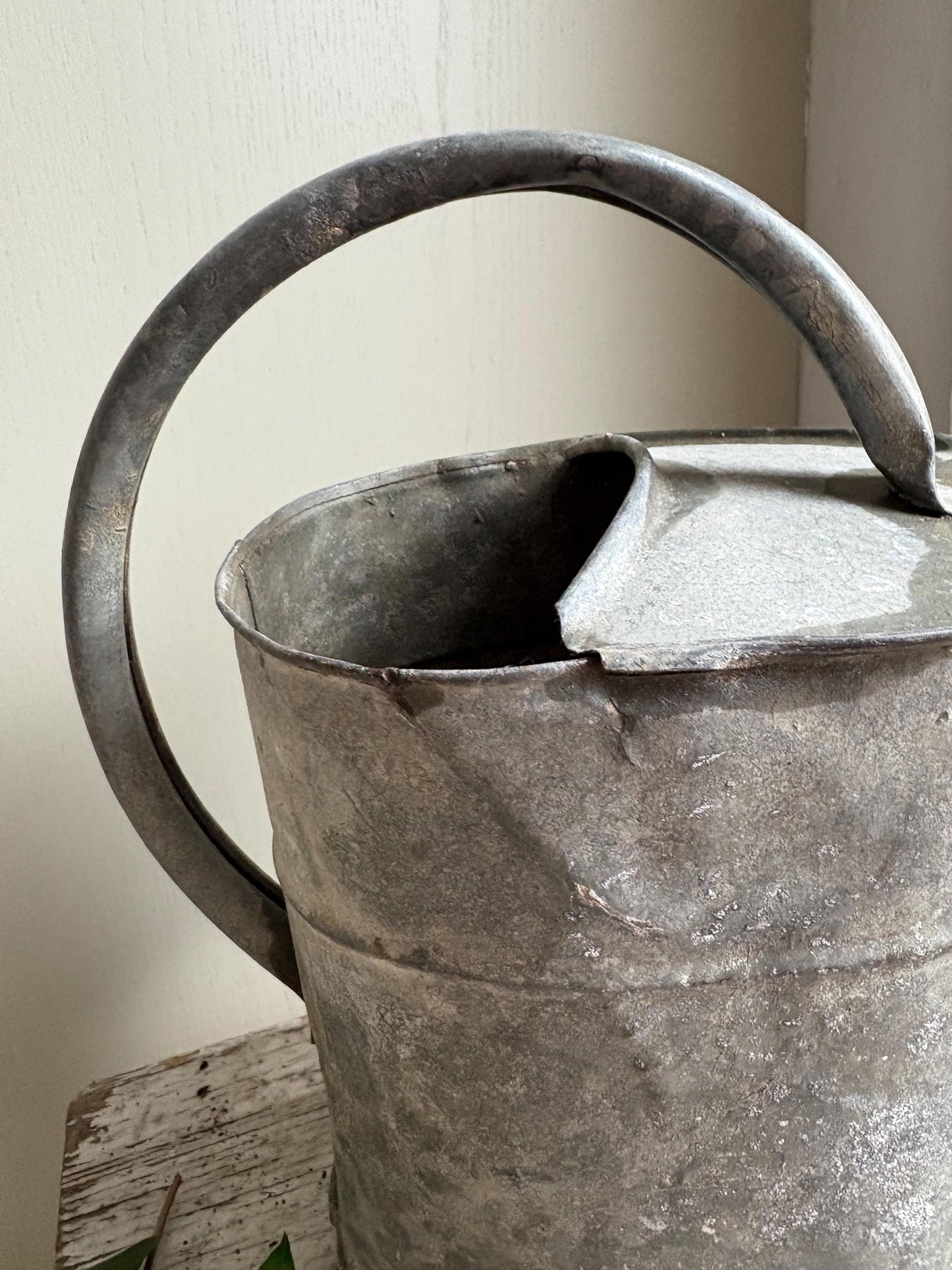 Galvanised Vintage Watering Can