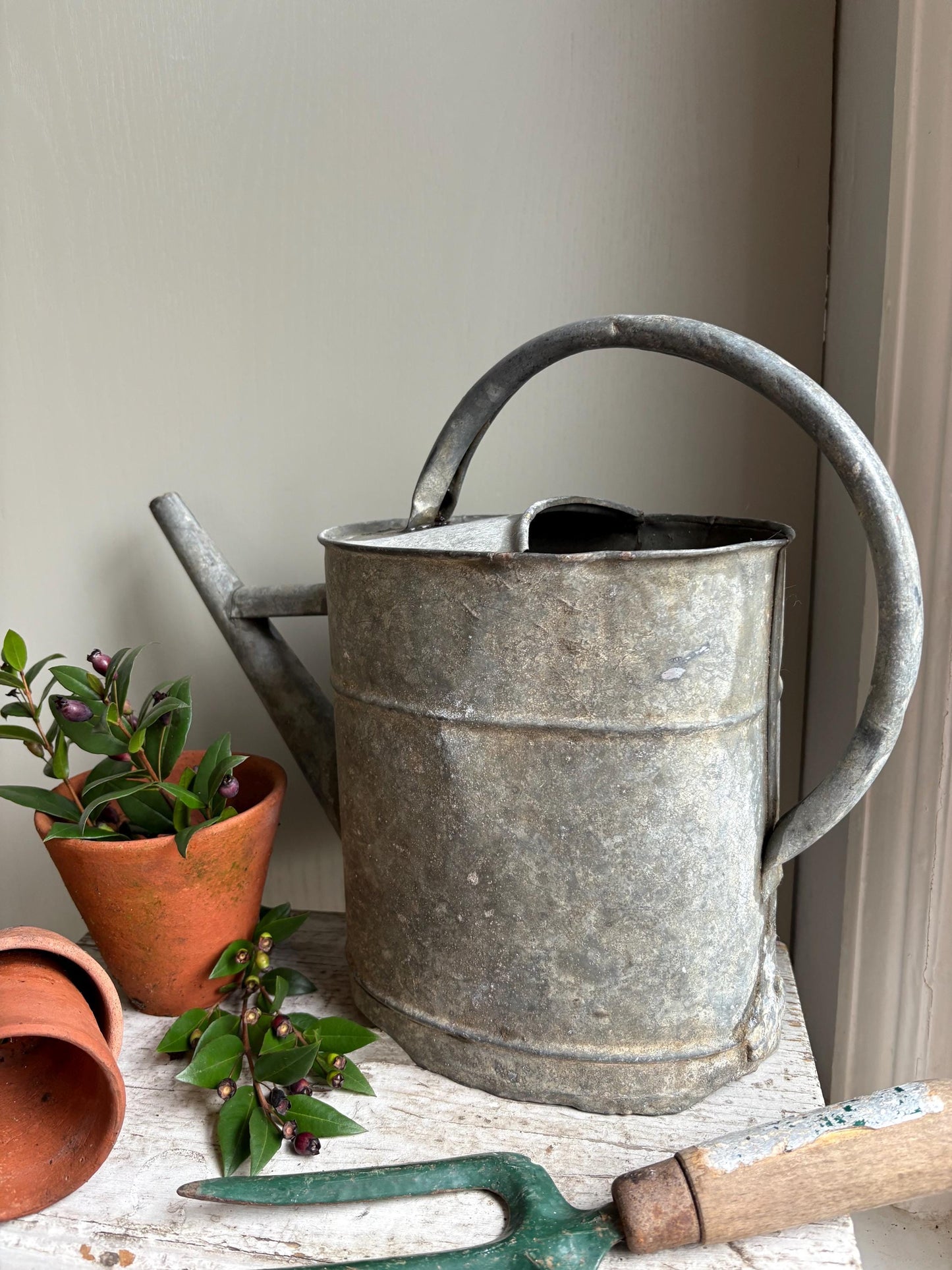 Galvanised Vintage Watering Can