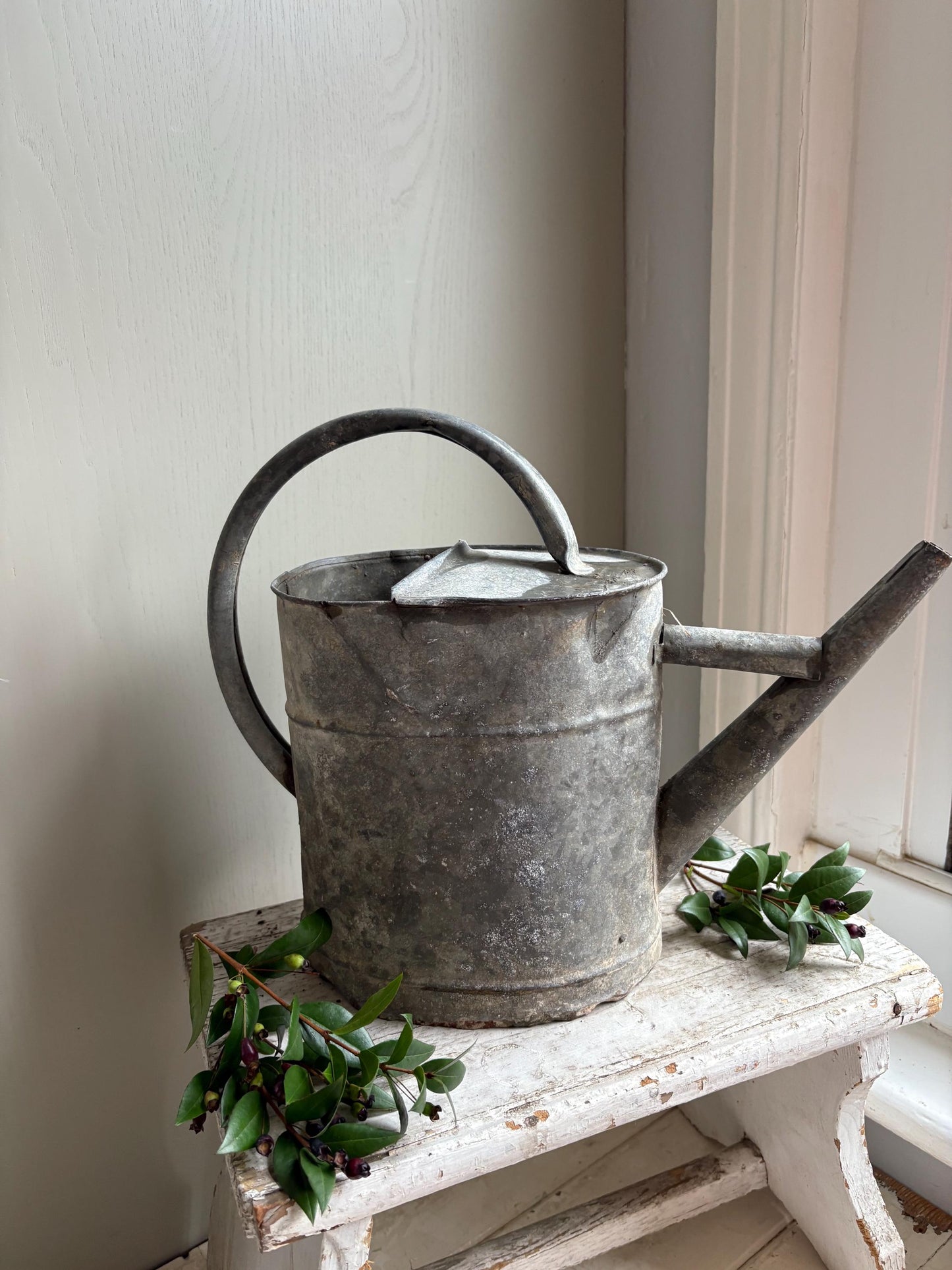 Galvanised Vintage Watering Can