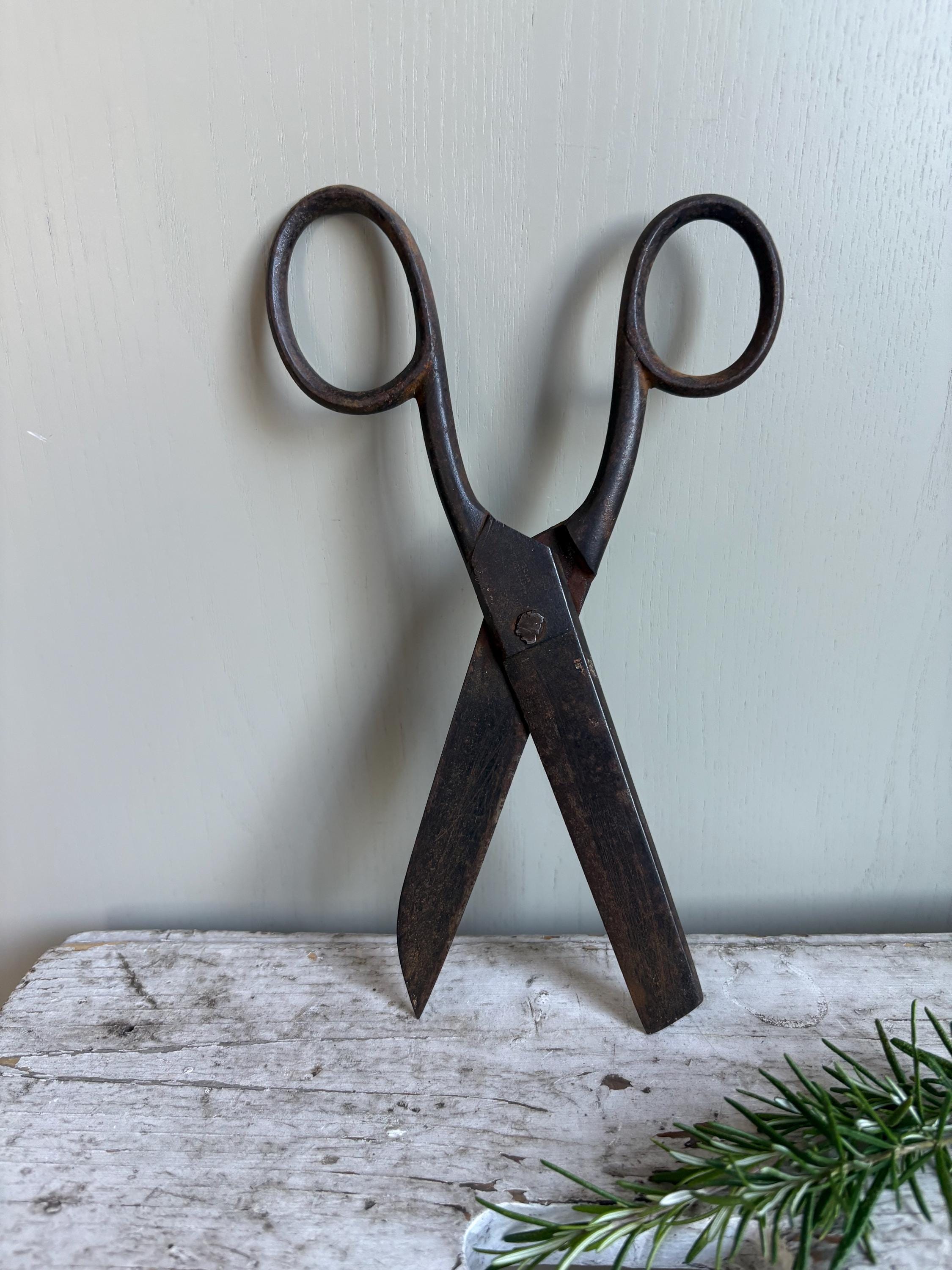 Large Old Pair of Scissors.