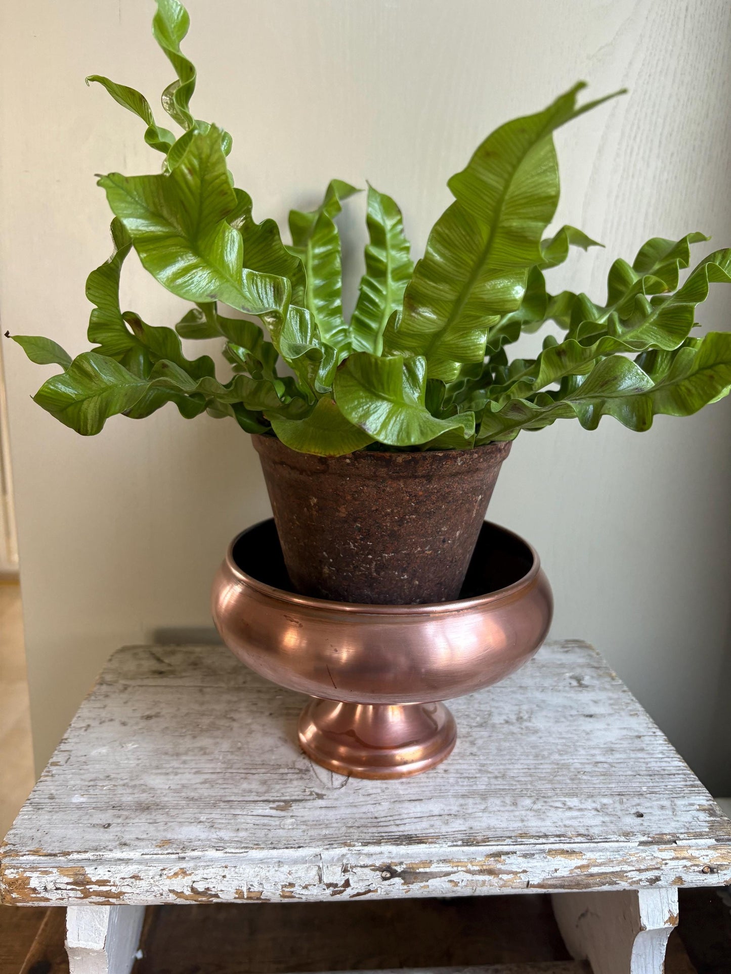 Vintage Copper Pedastal Bowl.