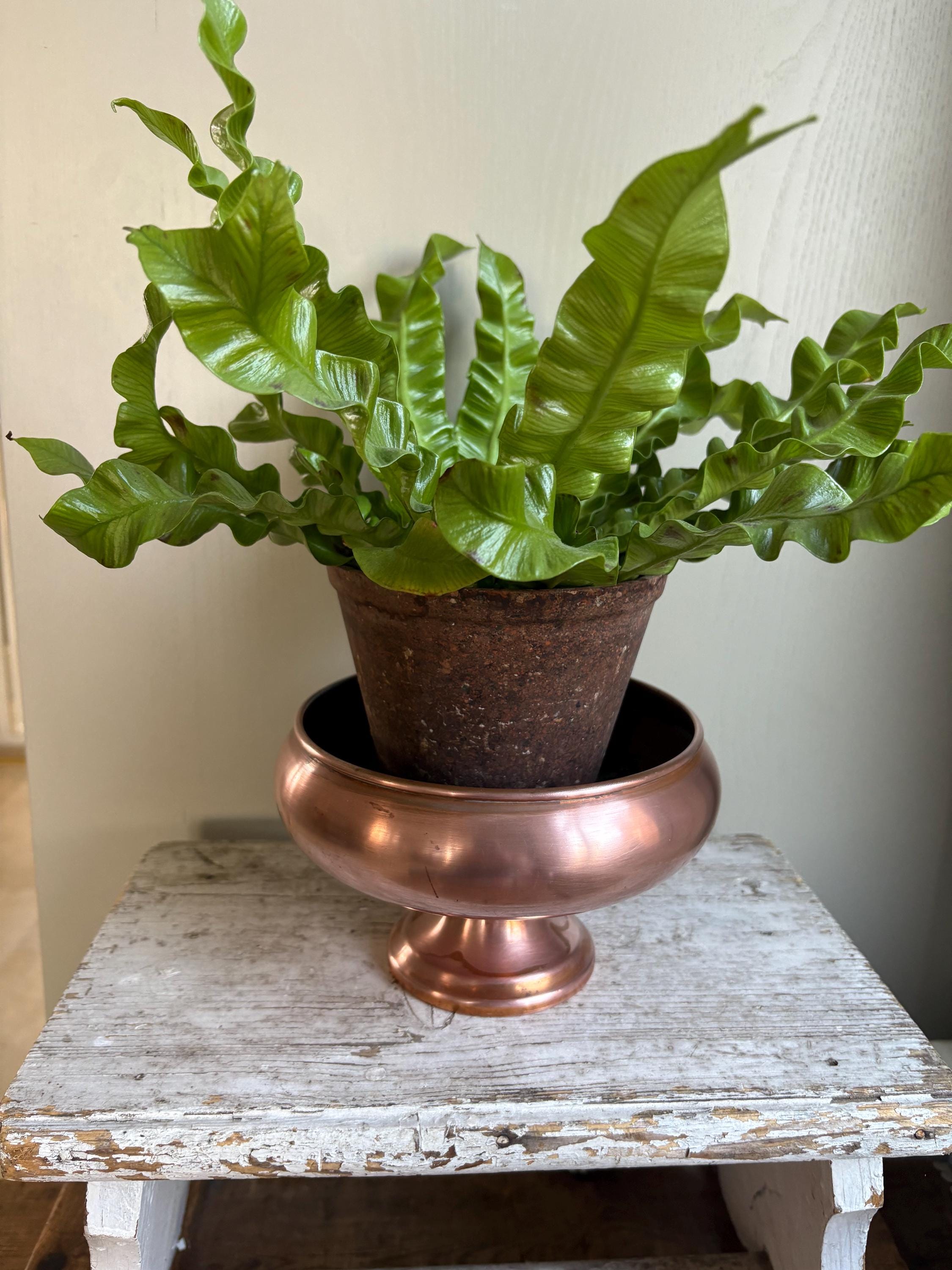 Vintage Copper Pedastal Bowl.