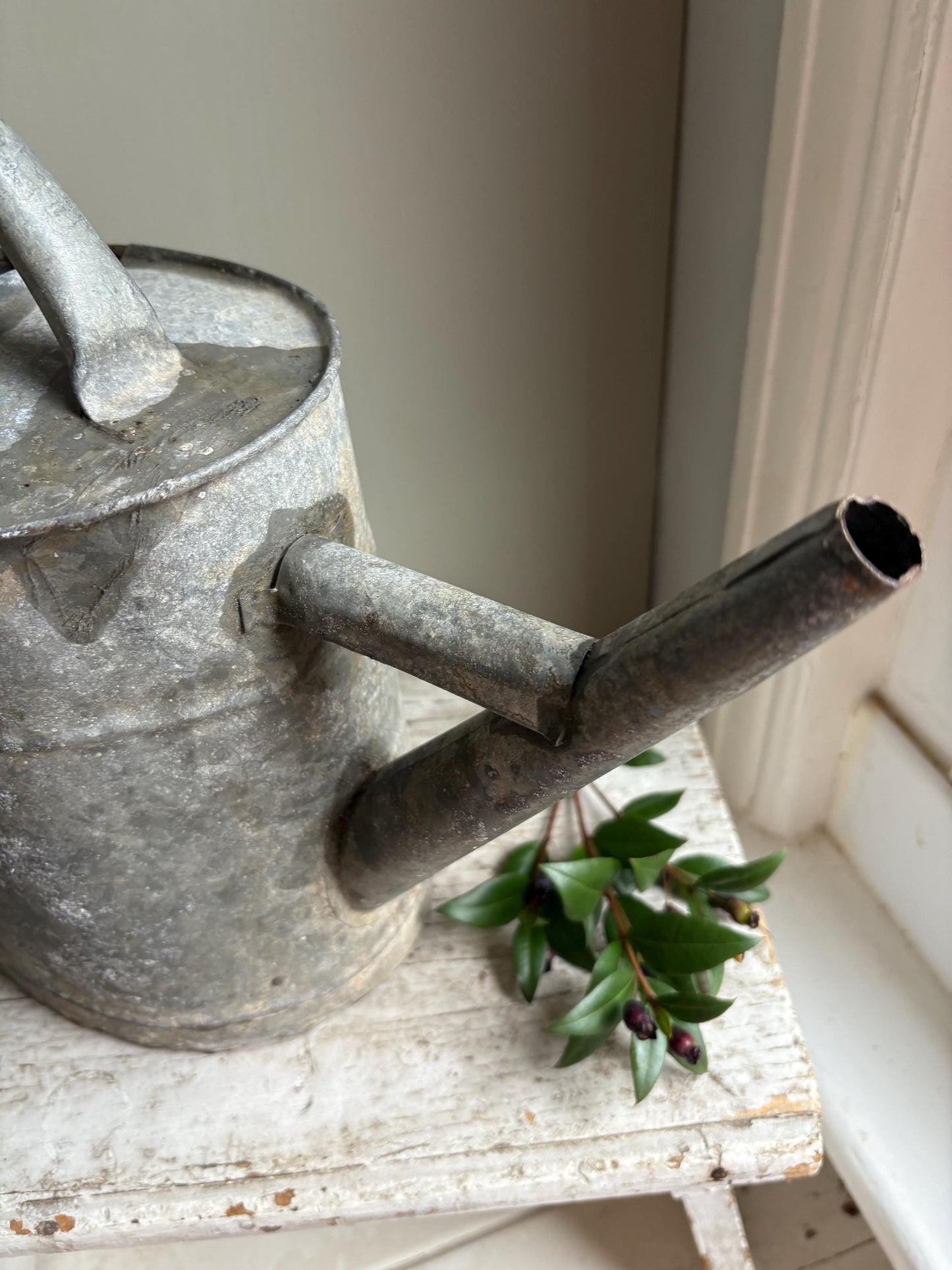 Galvanised Vintage Watering Can
