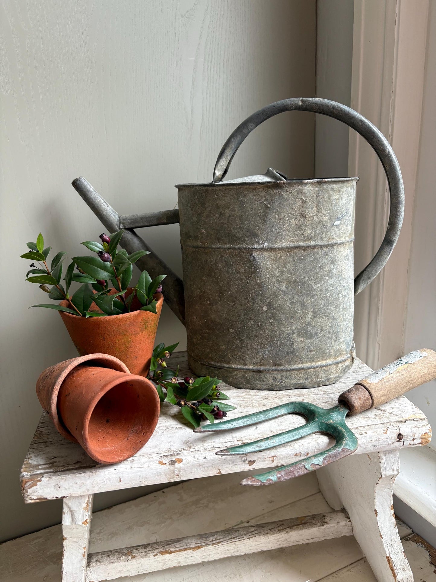 Galvanised Vintage Watering Can