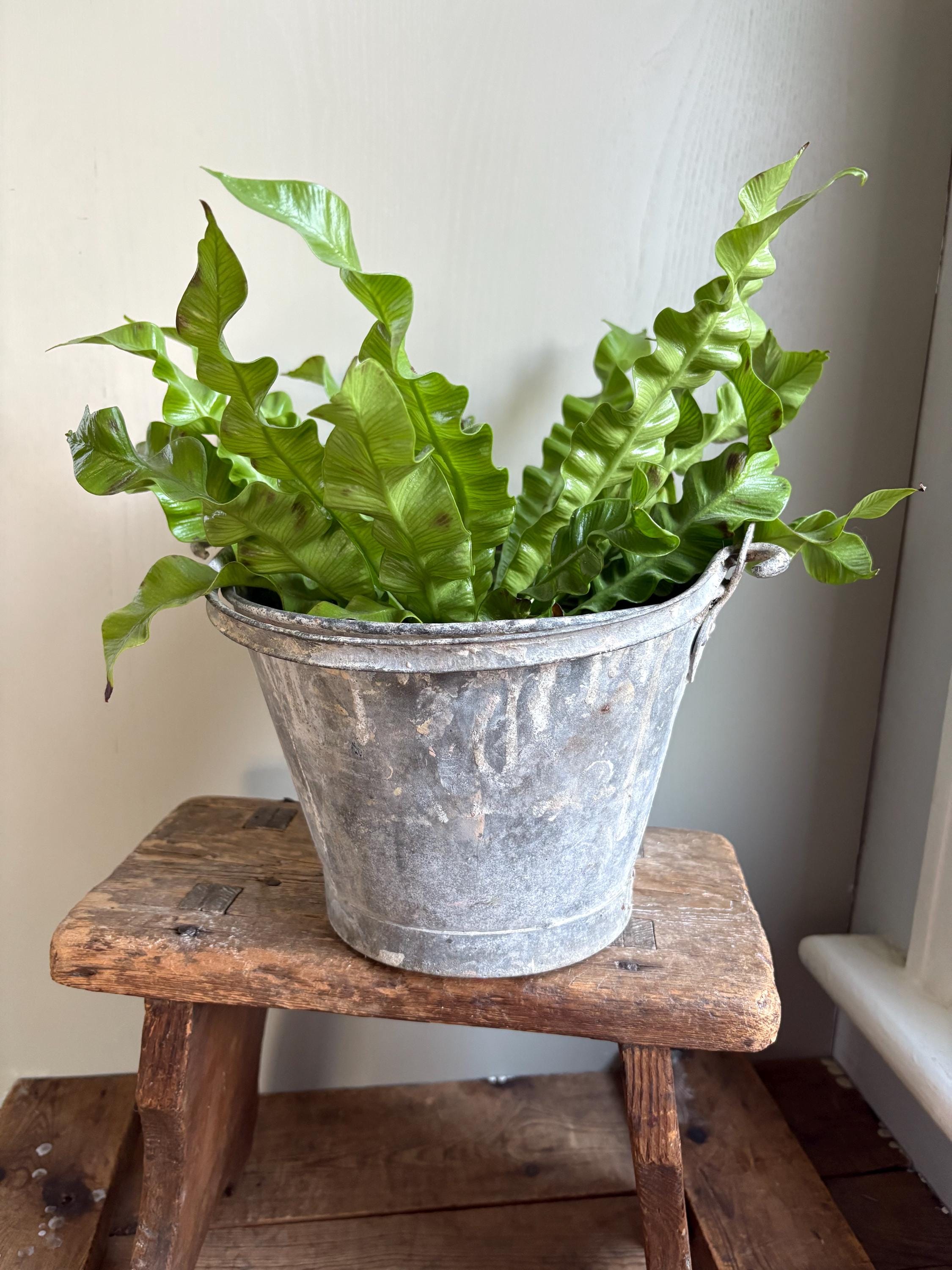 Small vintage galvanised bucket