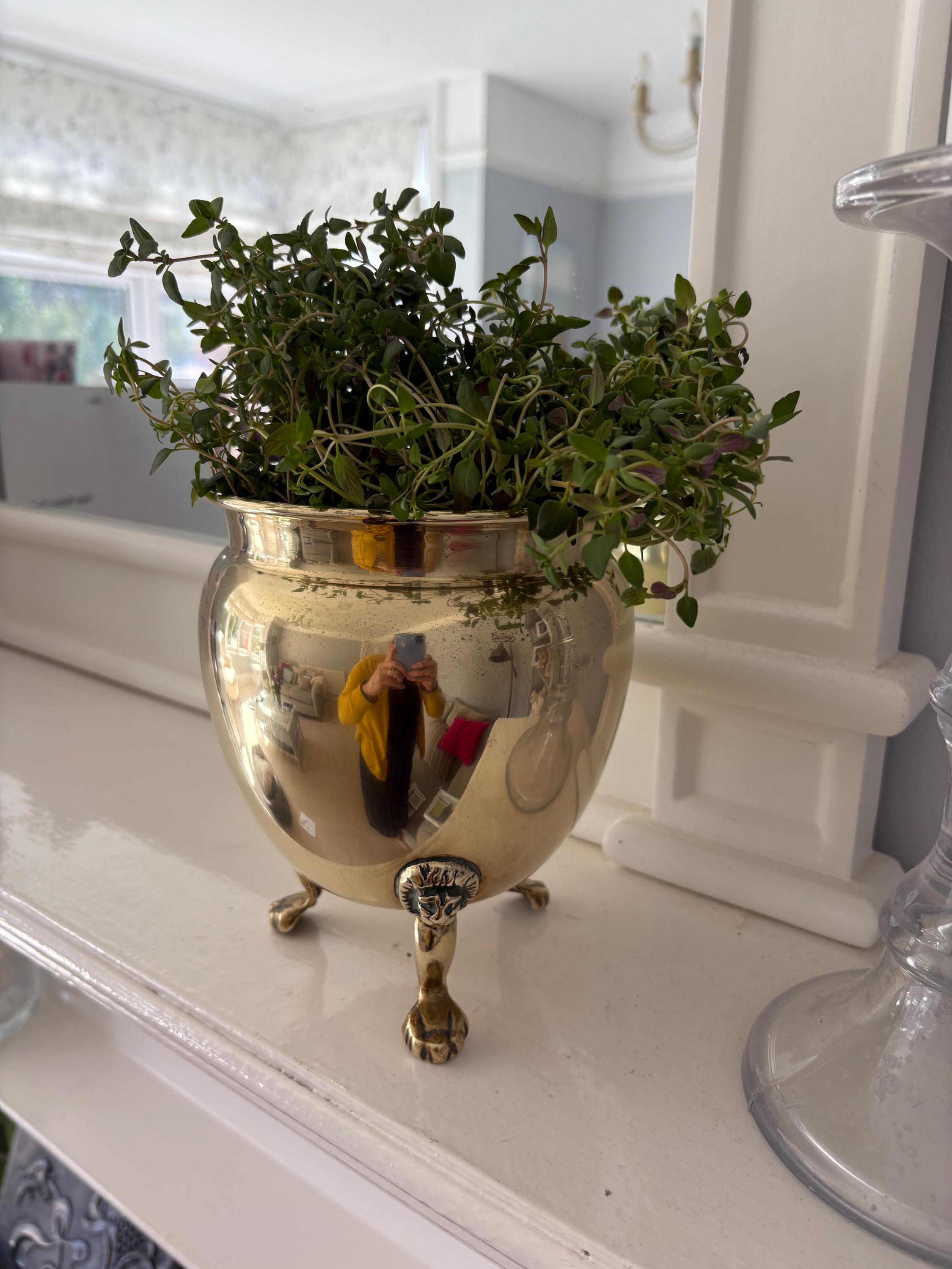 Old Brass Planter