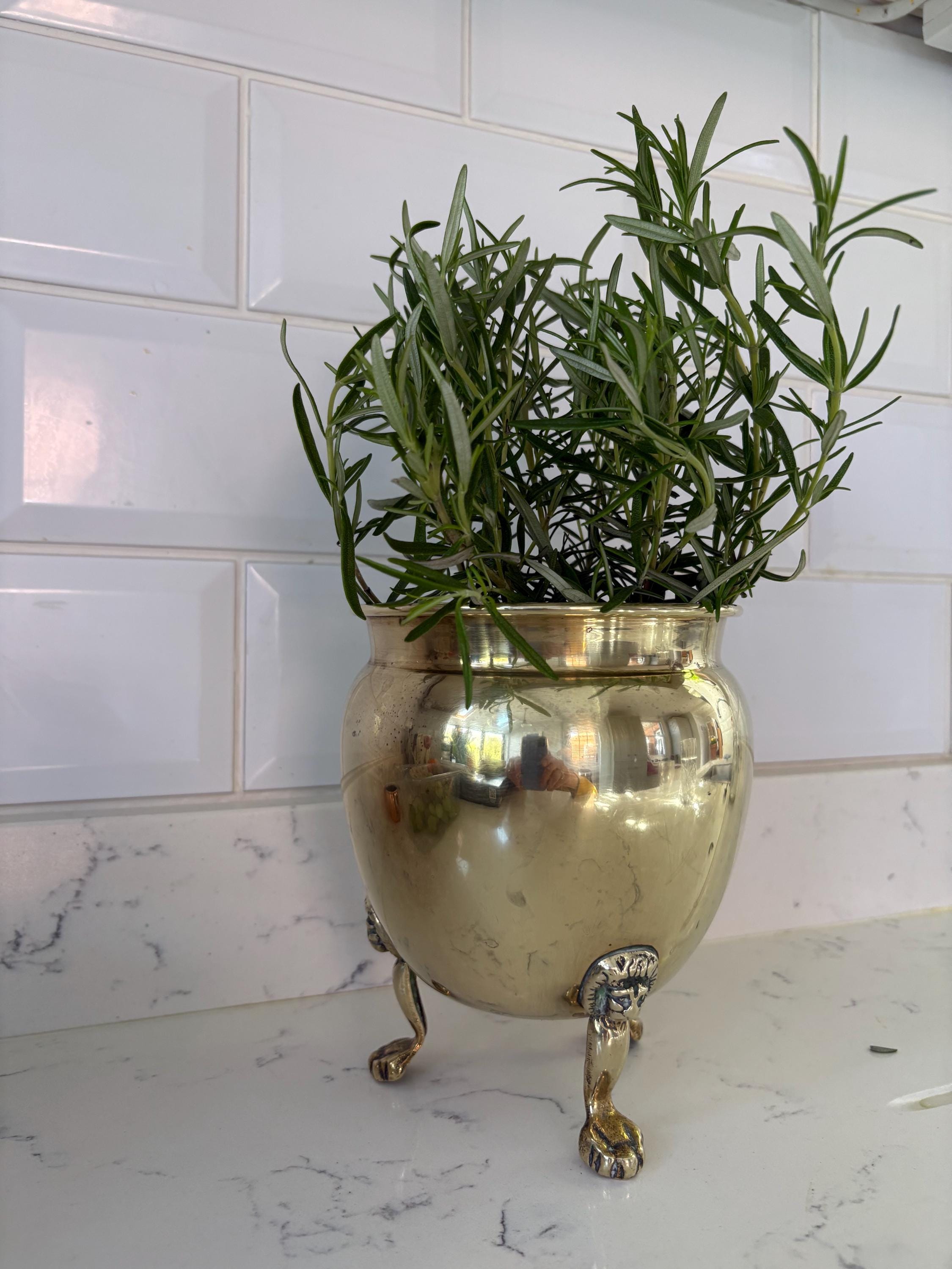 Old Brass Planter