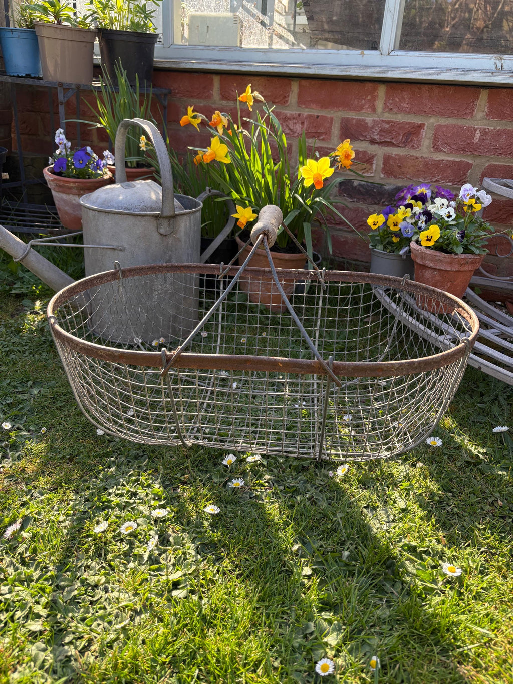 Old French Wire Harvest Basket, Farmhouse decor, Brocanre