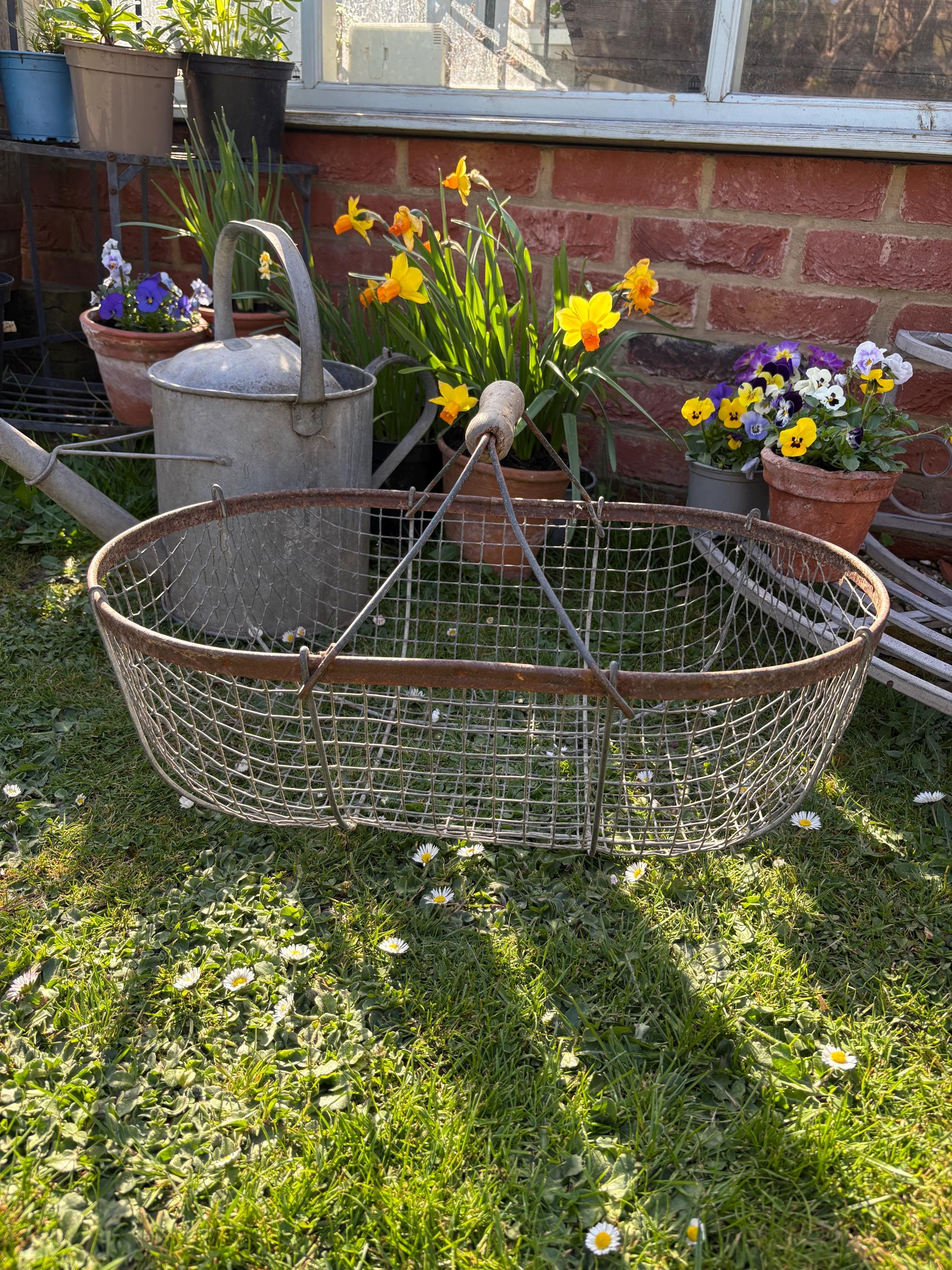 Old French Wire Harvest Basket, Farmhouse decor, Brocanre