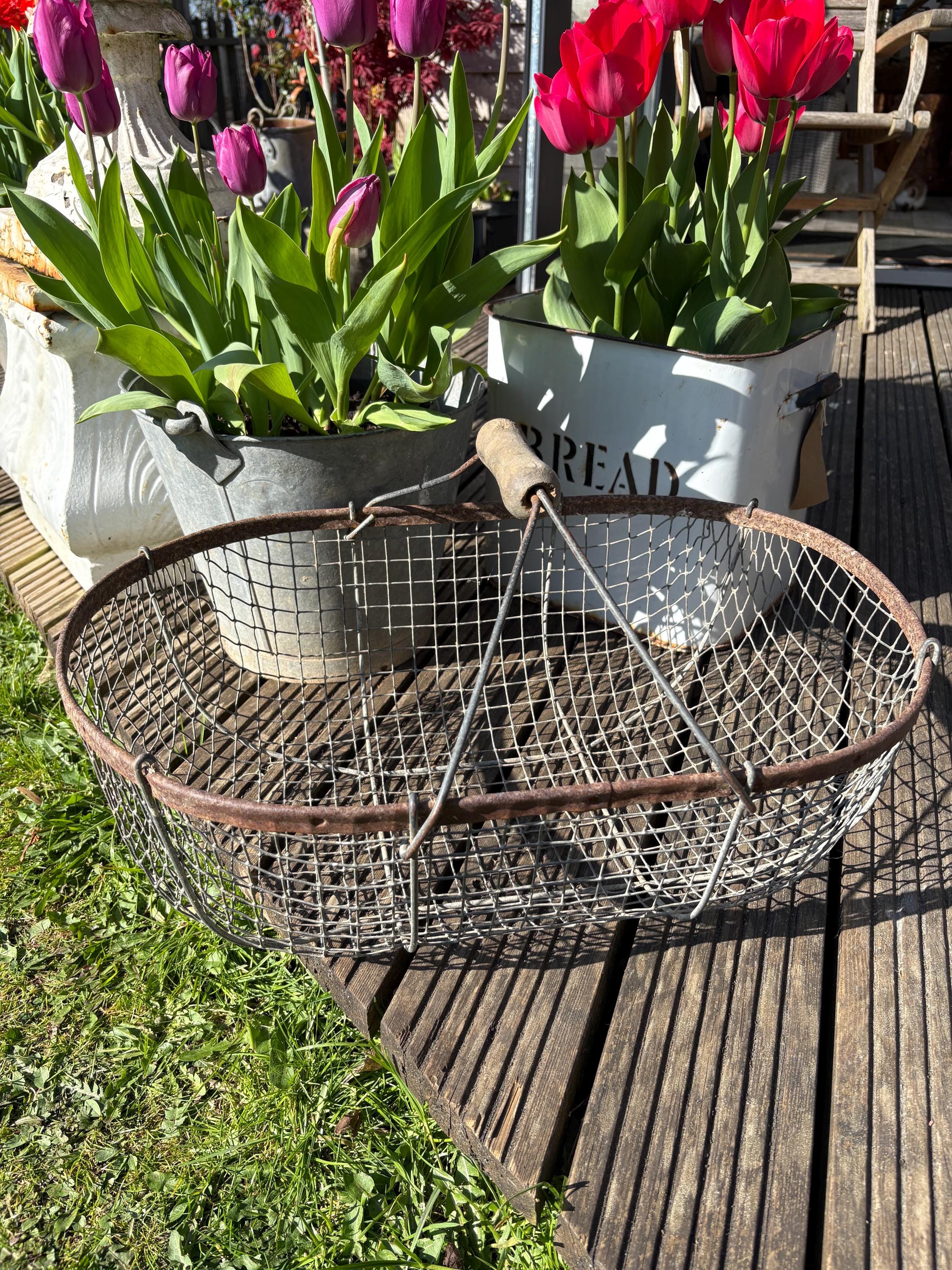 Old French Wire Harvest Basket, Farmhouse decor, Brocanre
