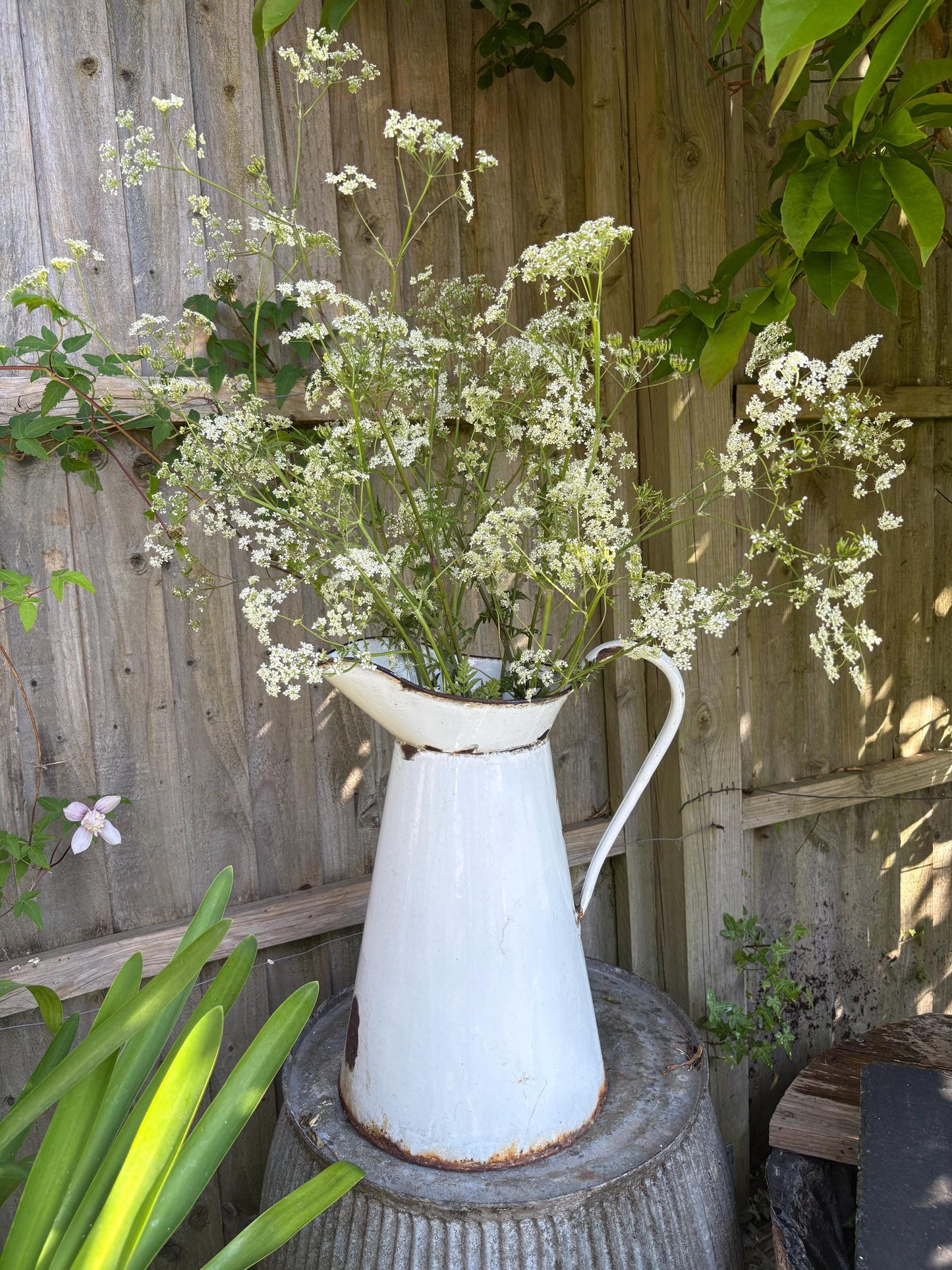 Enamelware Jug, Enamel pitcher, Vintage Ewer