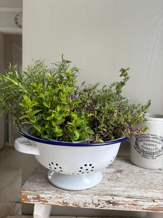 Enamelware Vintage Colander