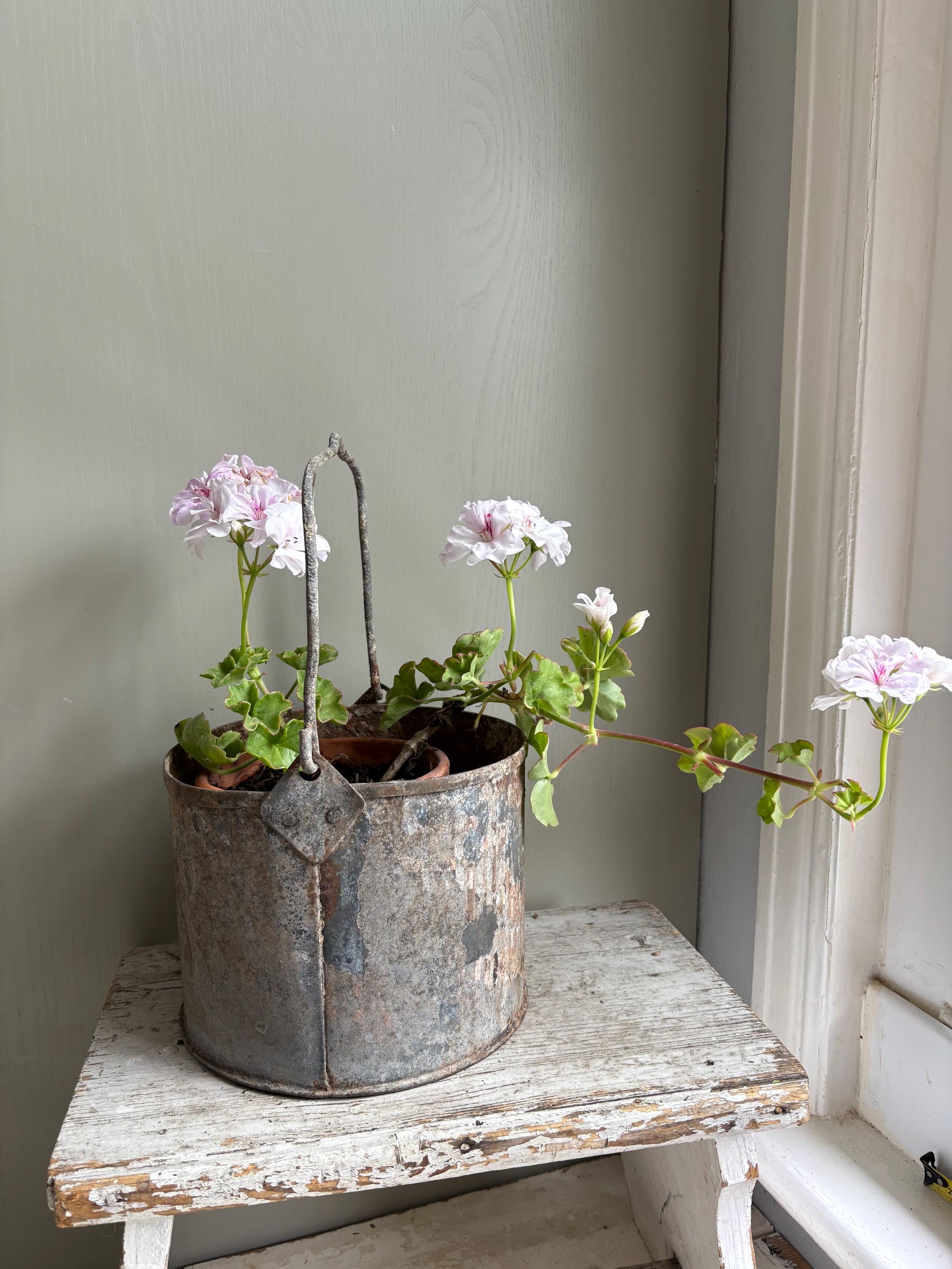 Rustic Paint Pot, Paint Kettle, Planter.