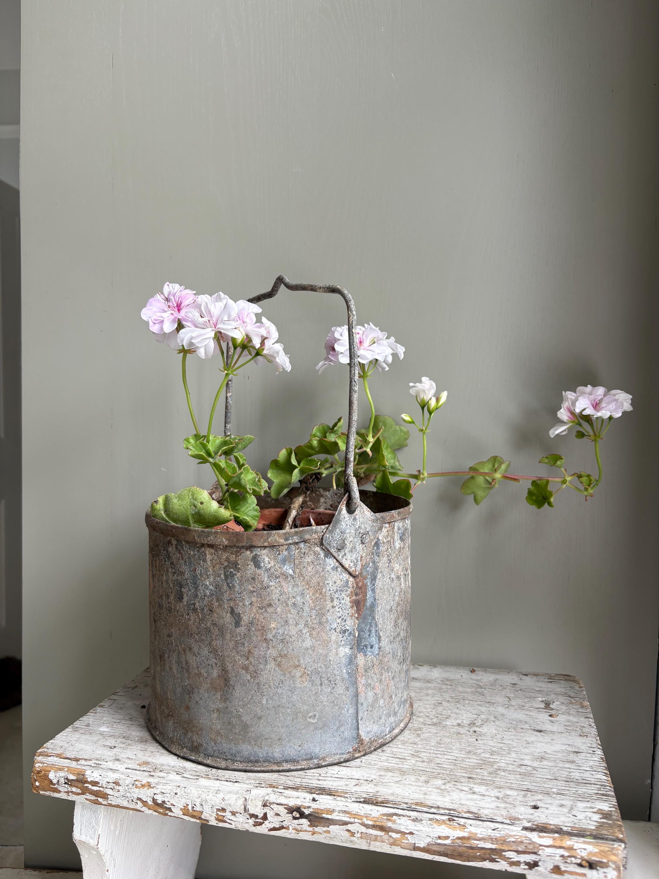 Rustic Paint Pot, Paint Kettle, Planter.