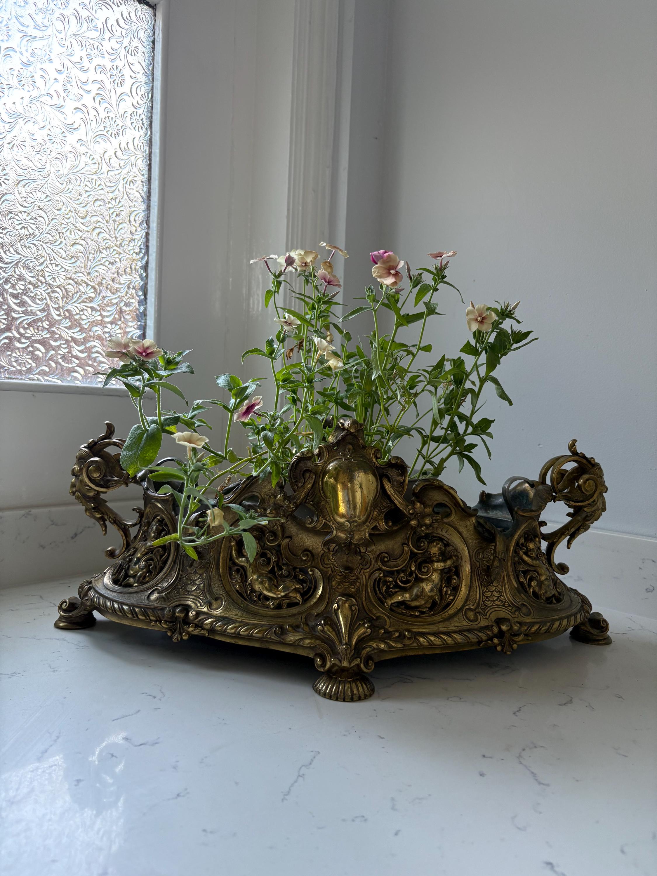 Large 19th Century French Bronze Jardinere.