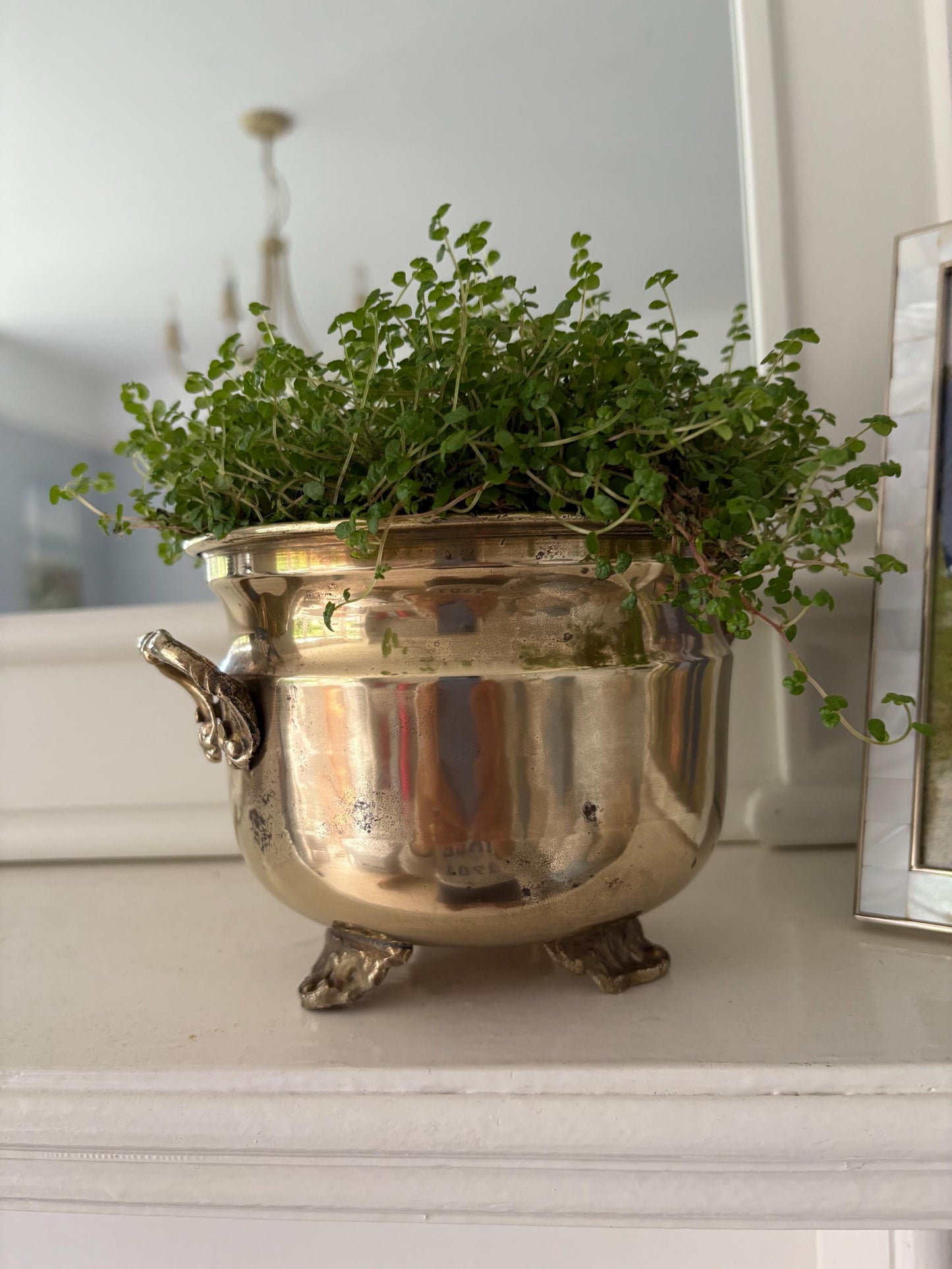 Brass Planter - Three footed plant pot with side handles, Indoor house planter.