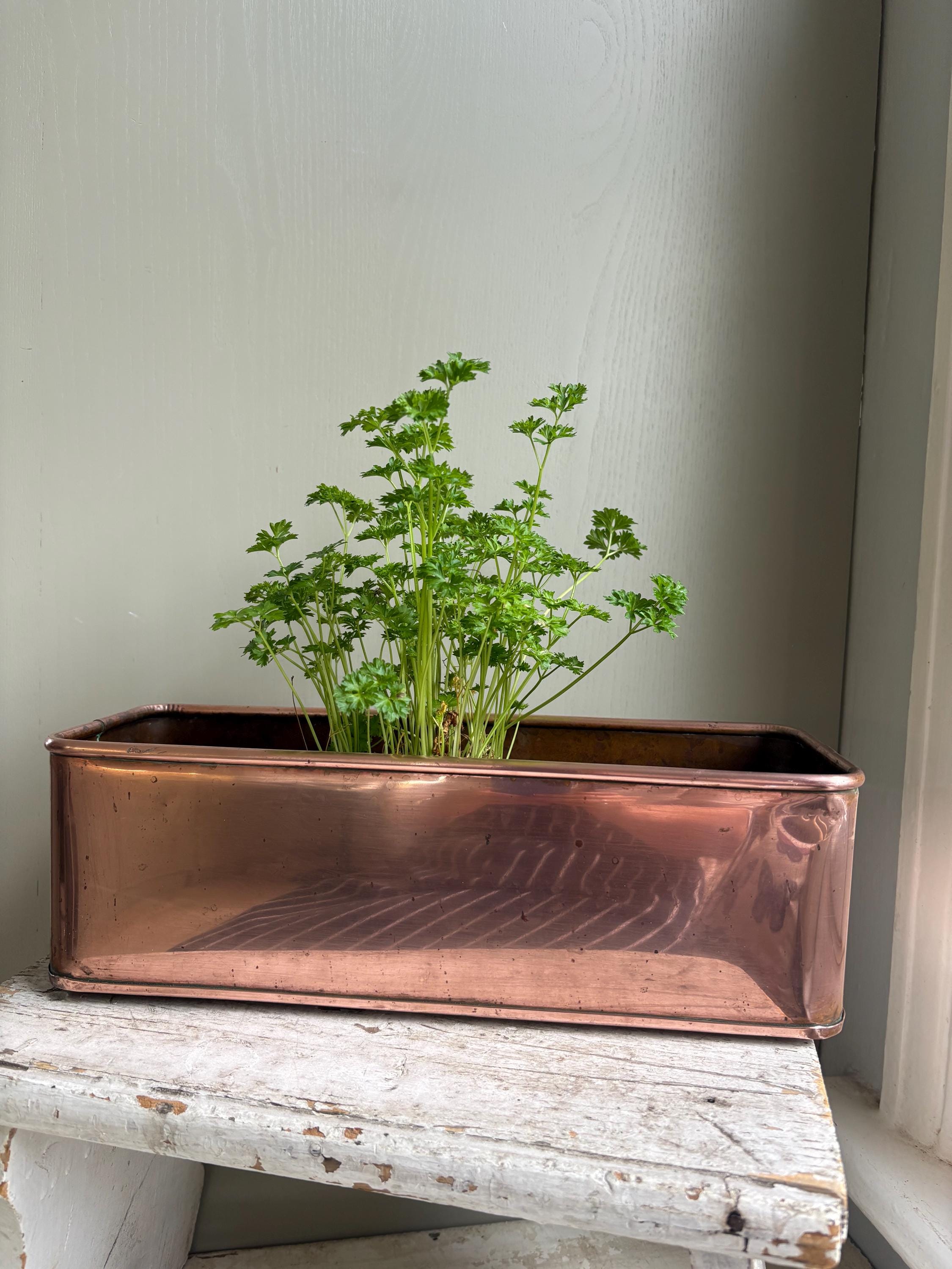 Vintage Copper Trough Planter: Kitchen Herb Windowsill Decor