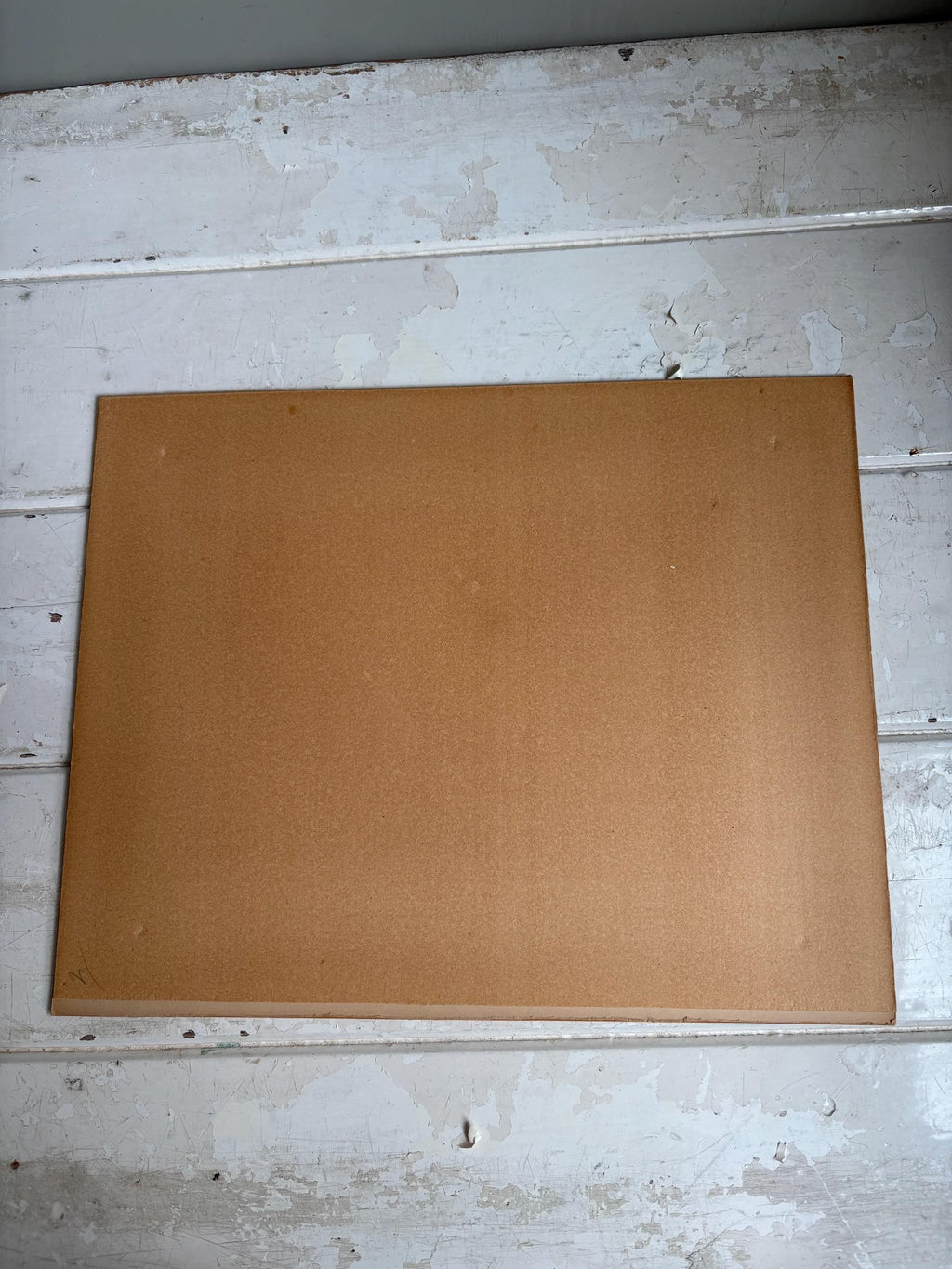 Antique Copper Print, Hand Coloured Print, Bird Picture