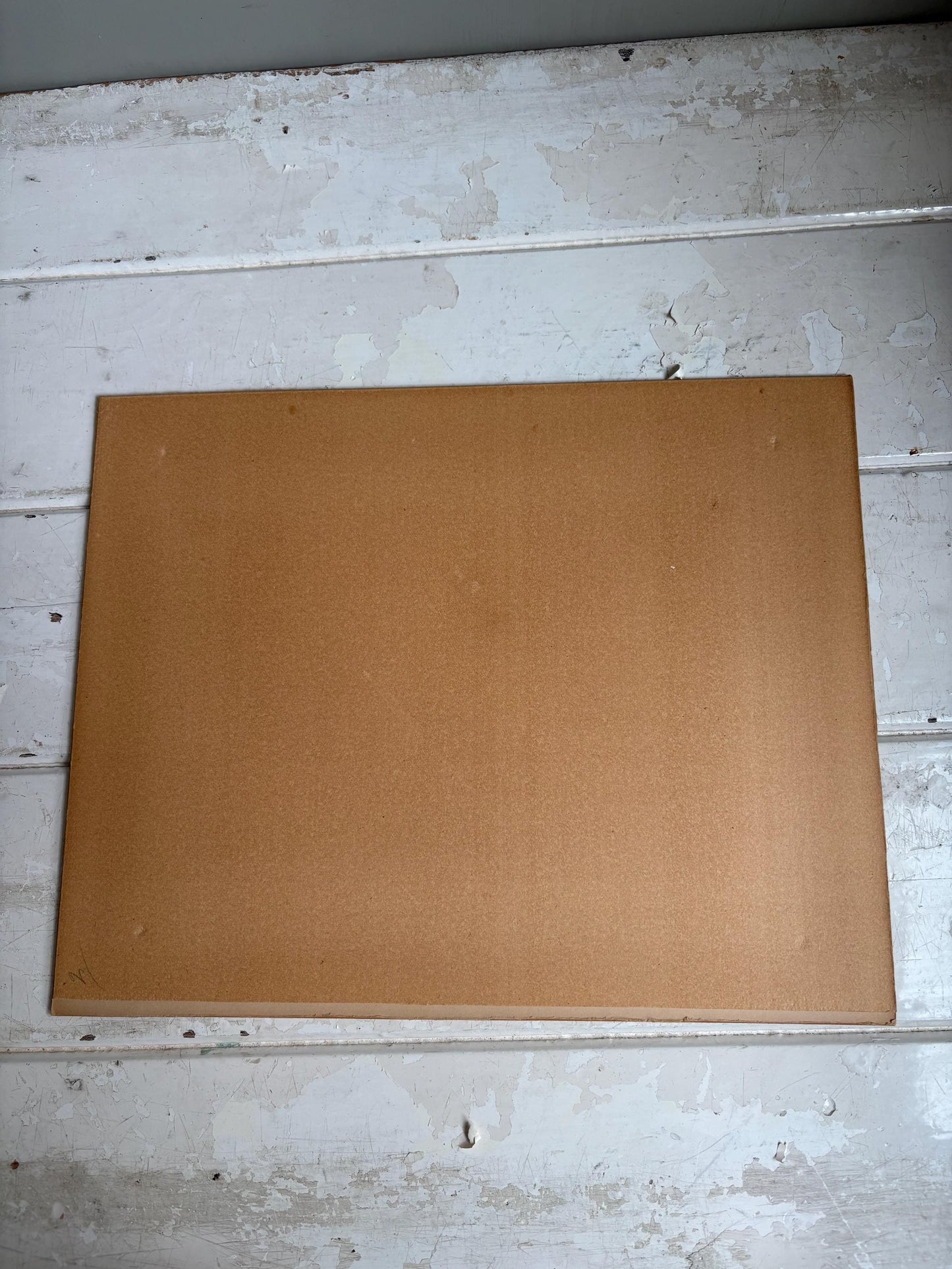 Antique Copper Print, Hand Coloured Print, Bird Picture