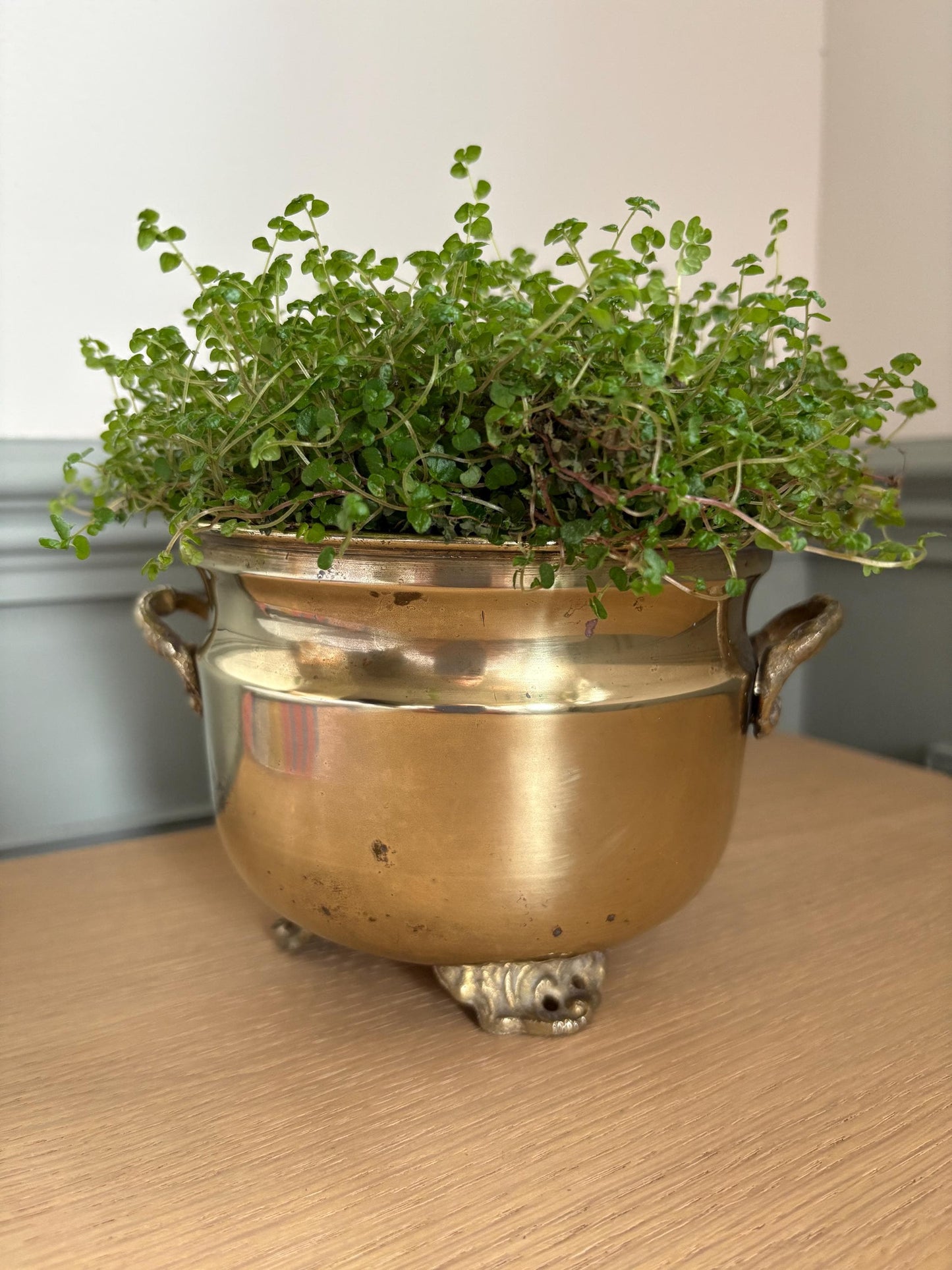 Brass Planter - Three footed plant pot with side handles, Indoor house planter.