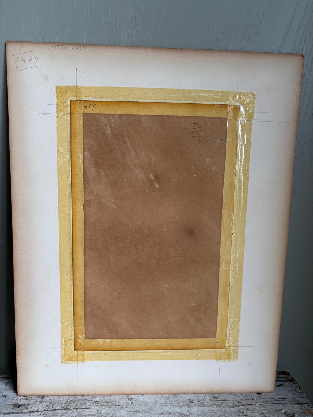 Antique Bird Print in Mount.