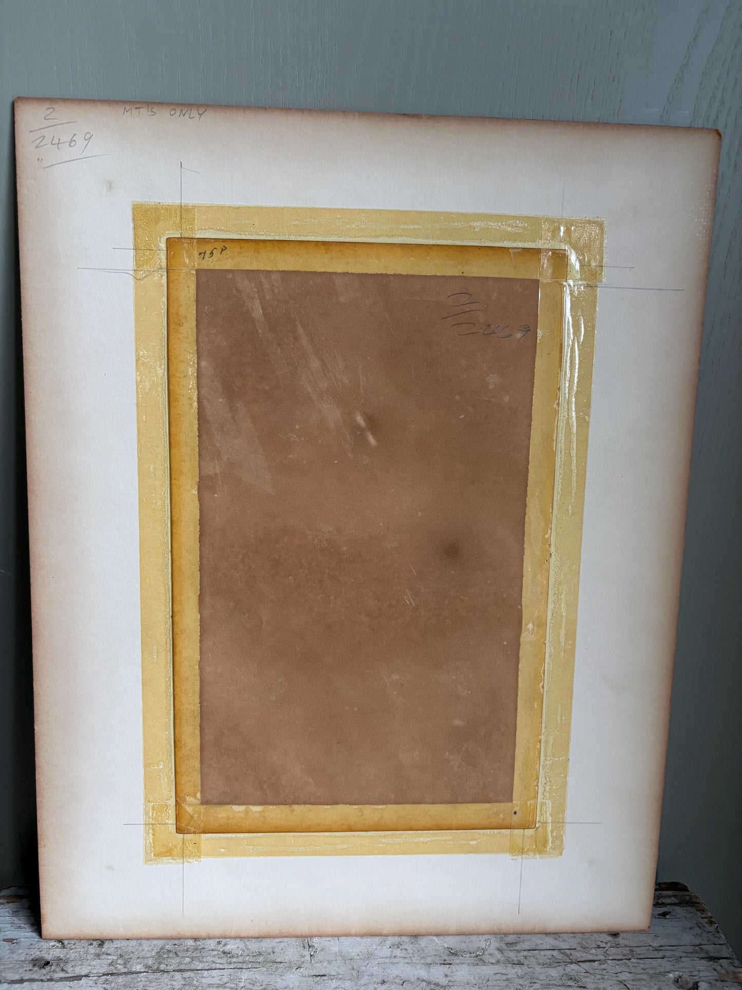 Antique Bird Print in Mount.