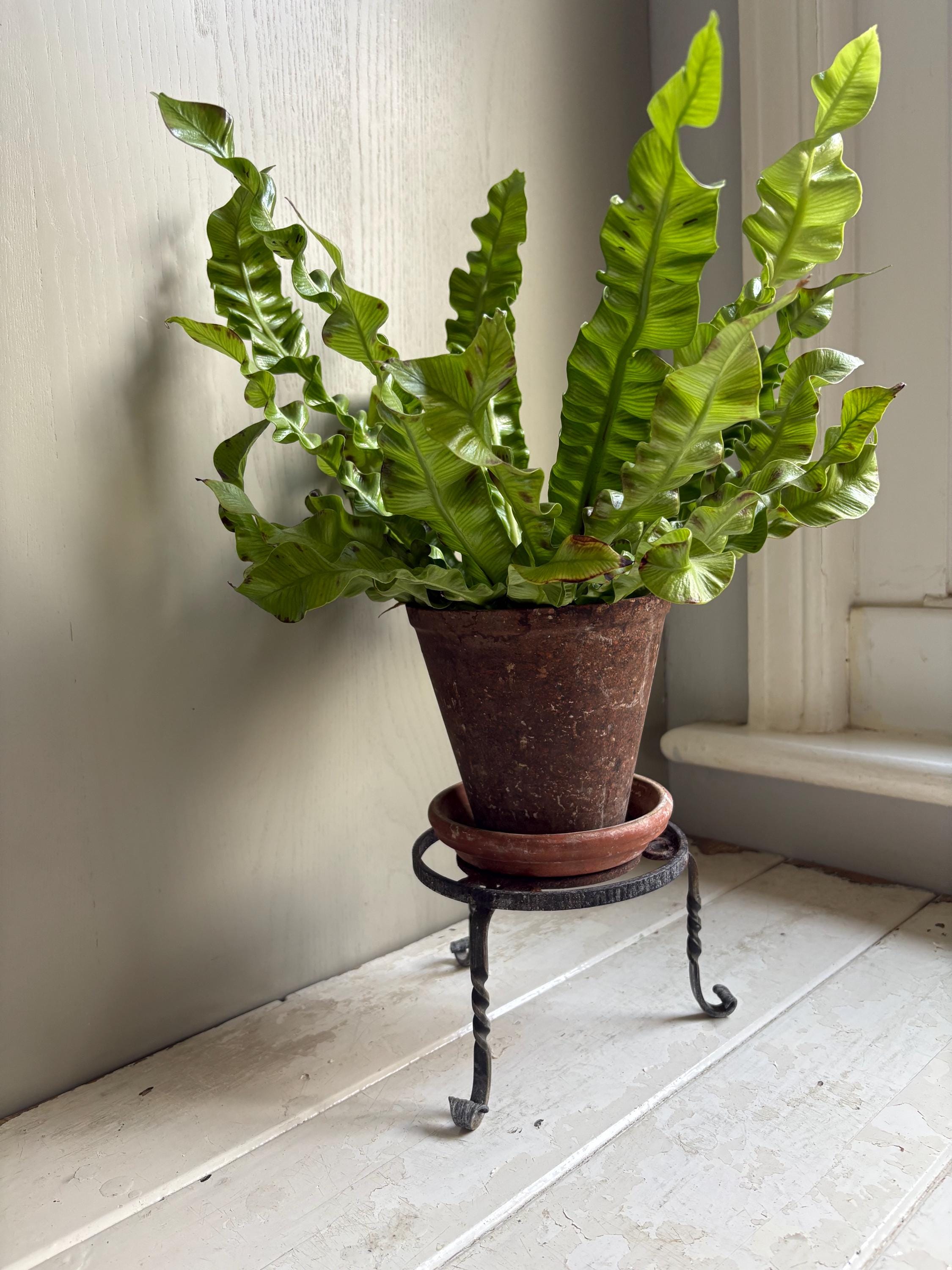 Old Trivet, Kettle Stand