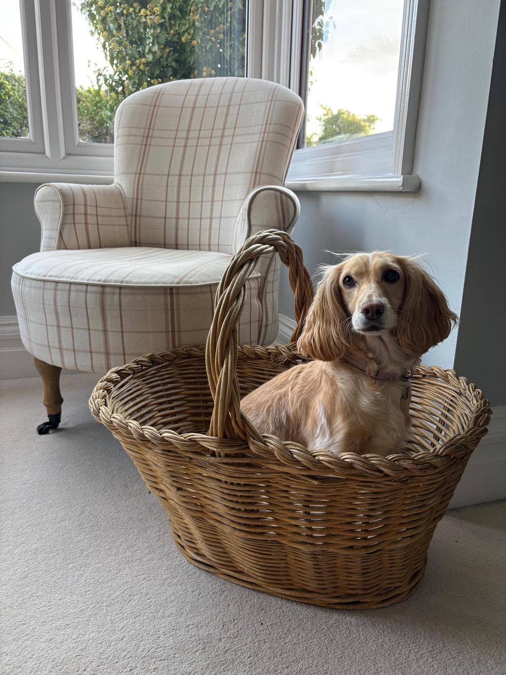 Really Large Wicker Basket, Storage Basket, Country House Decor