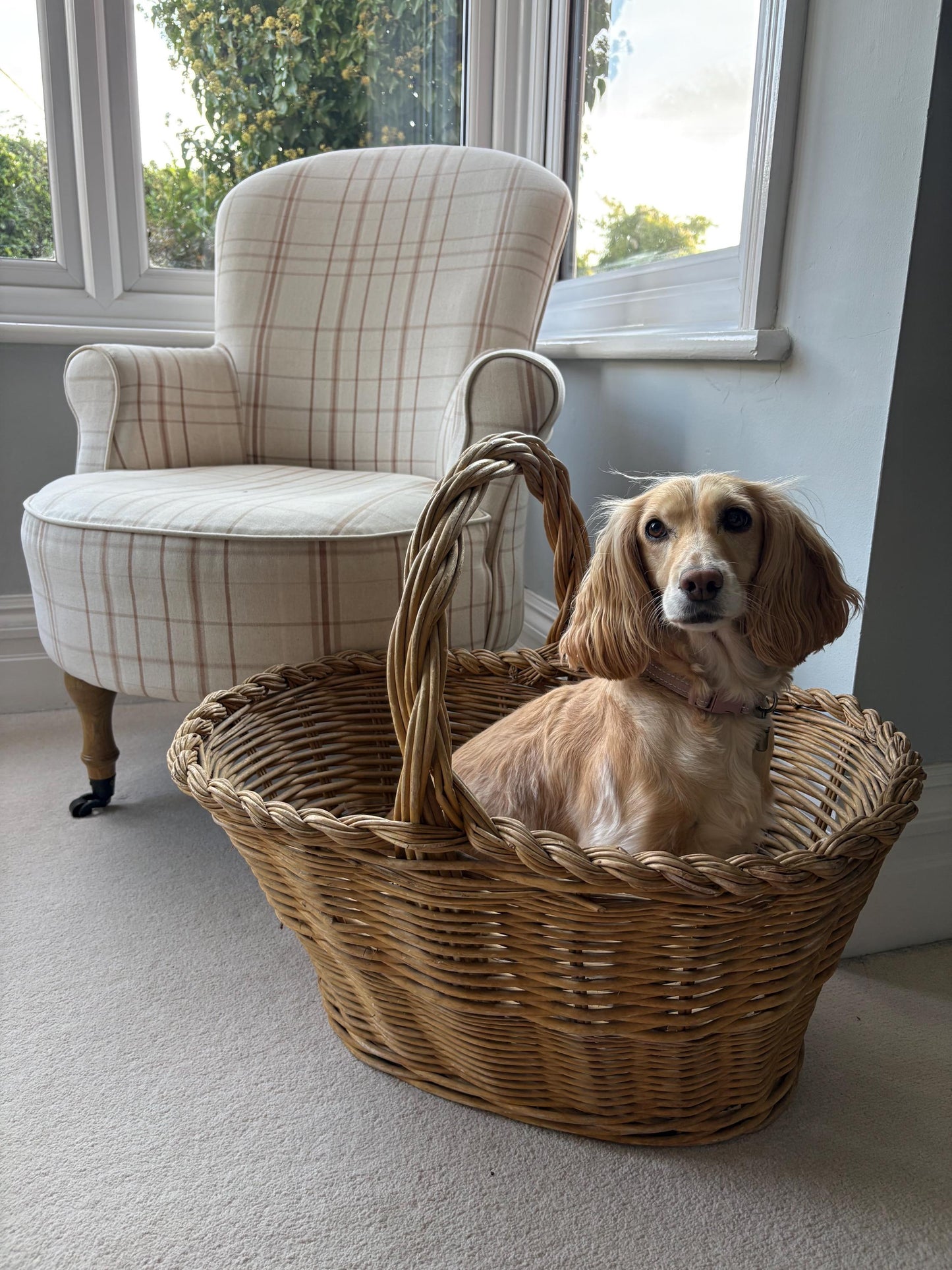 Really Large Wicker Basket, Storage Basket, Country House Decor