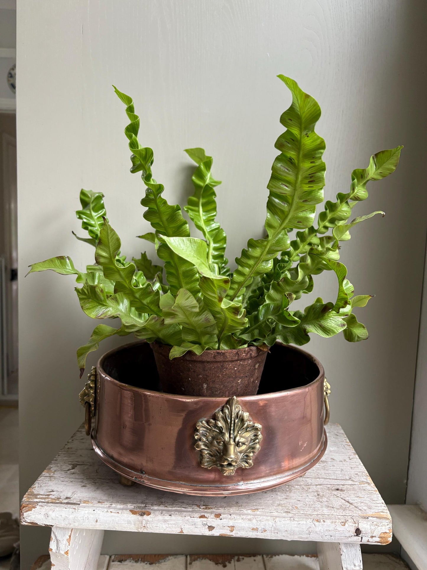 Copper Planter, Copper Cachepot