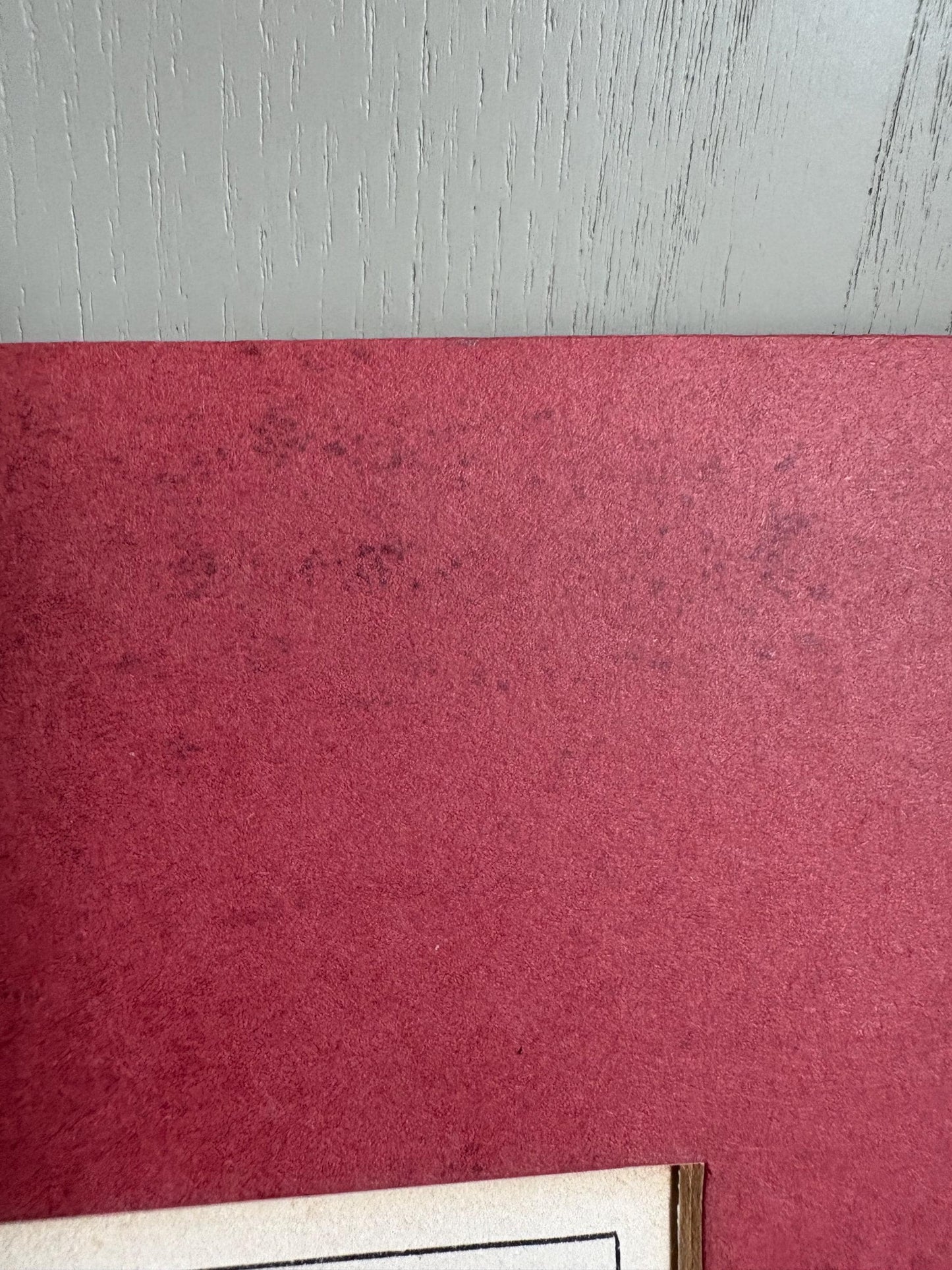 Antique Copper Print, Hand Coloured Print, Bird Picture