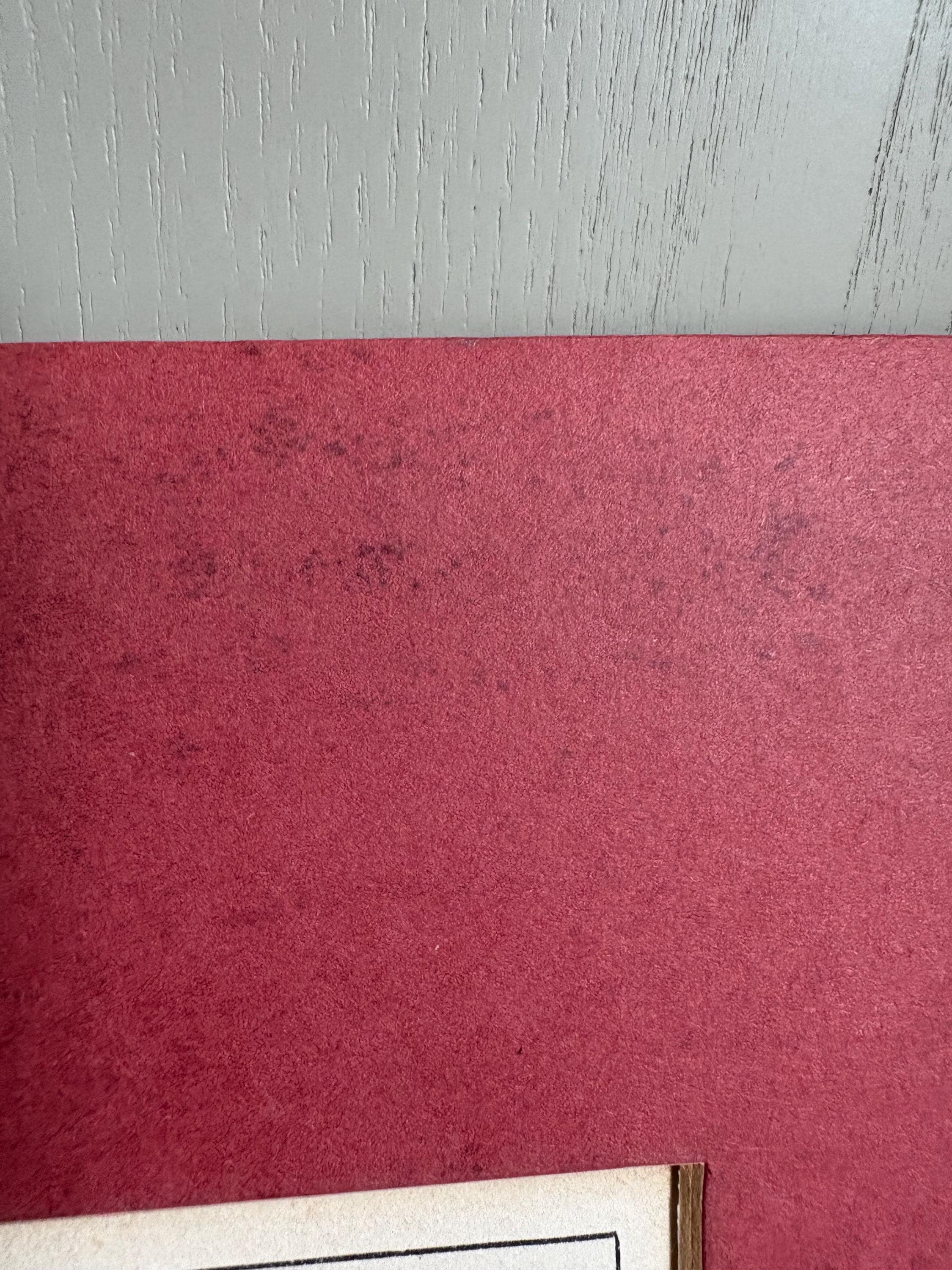 Antique Copper Print, Hand Coloured Print, Bird Picture