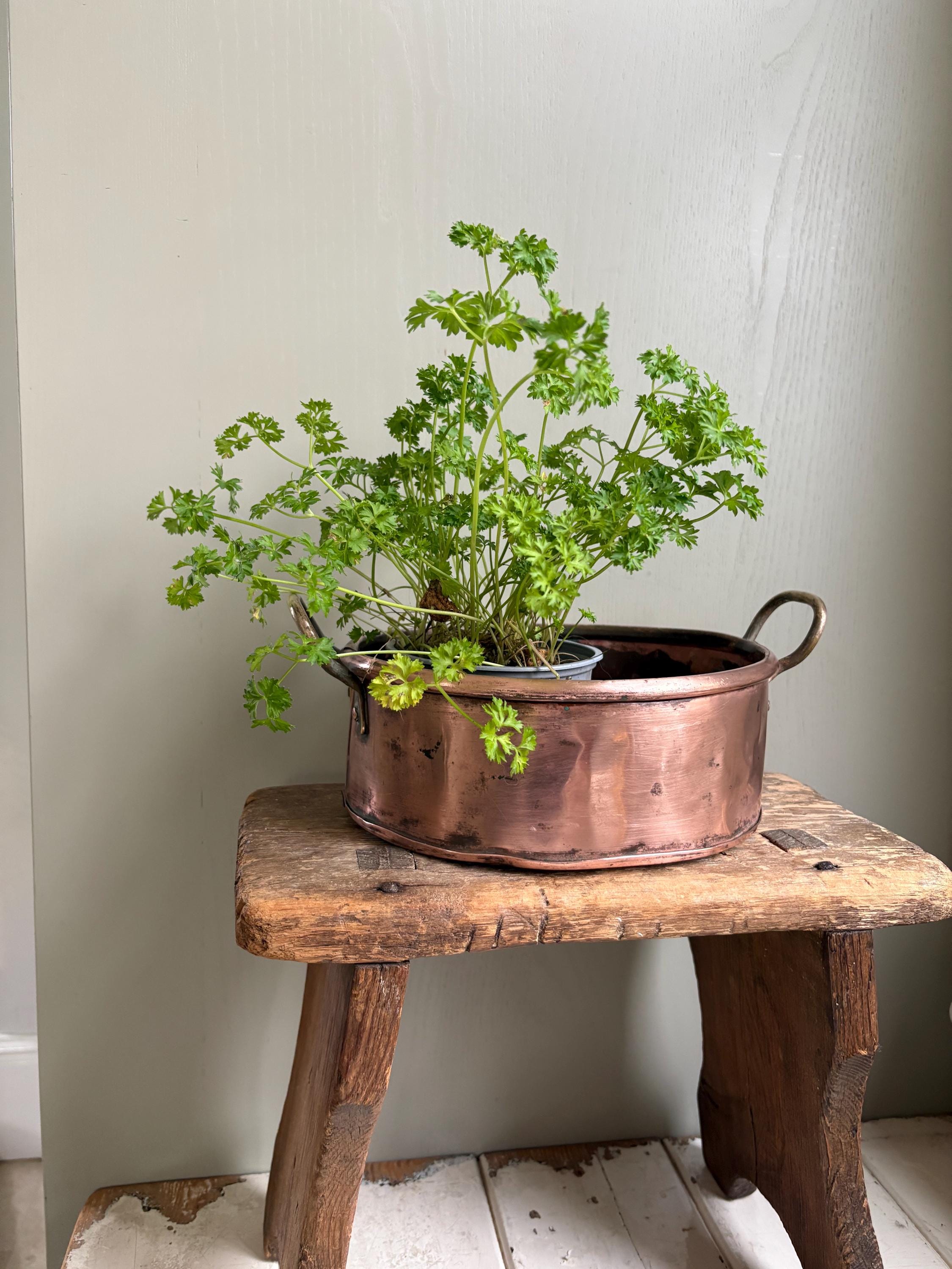 Small Oval Copper Planter, Copper Pan