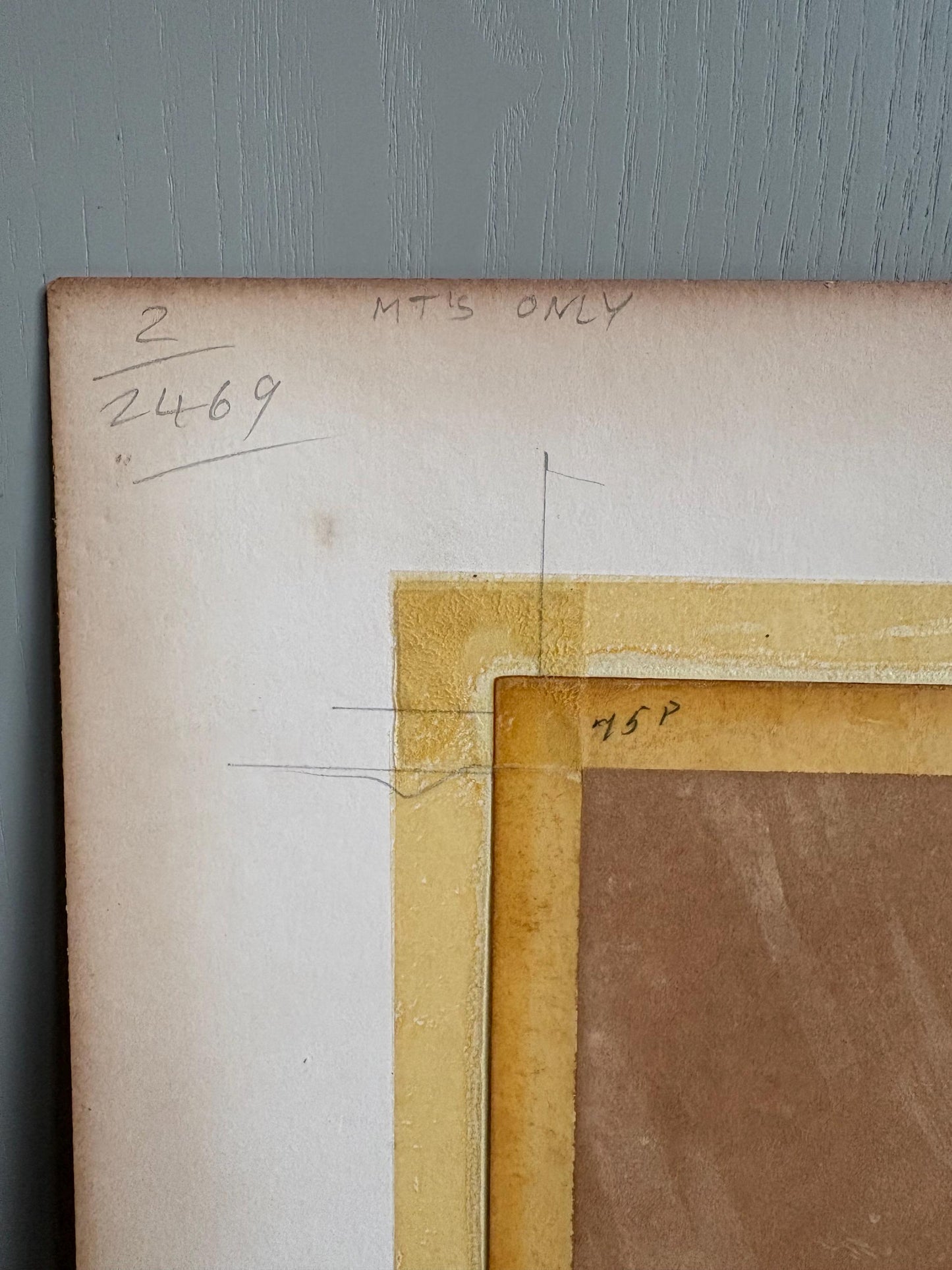 Antique Bird Print in Mount.