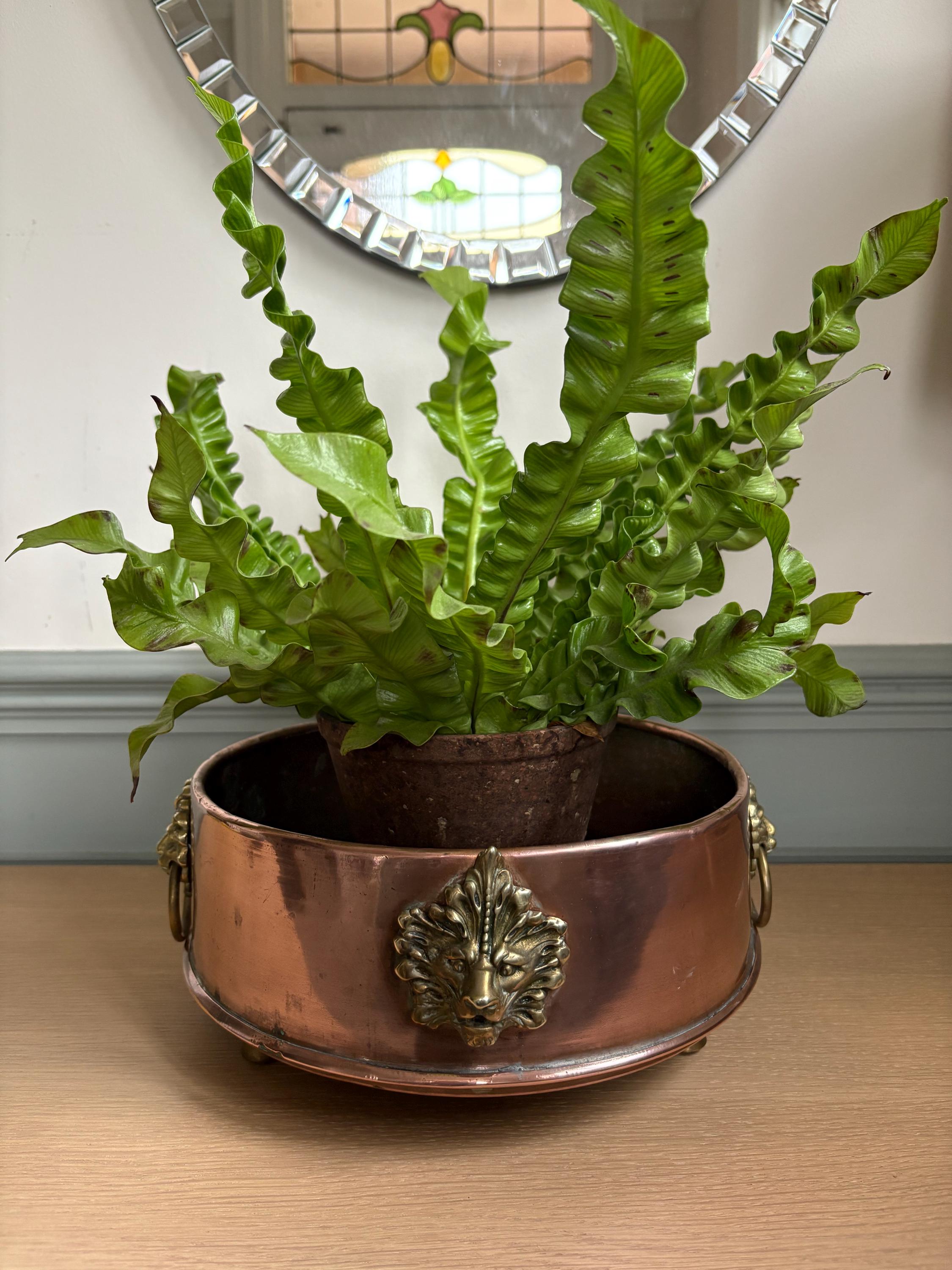 Copper Planter, Copper Cachepot