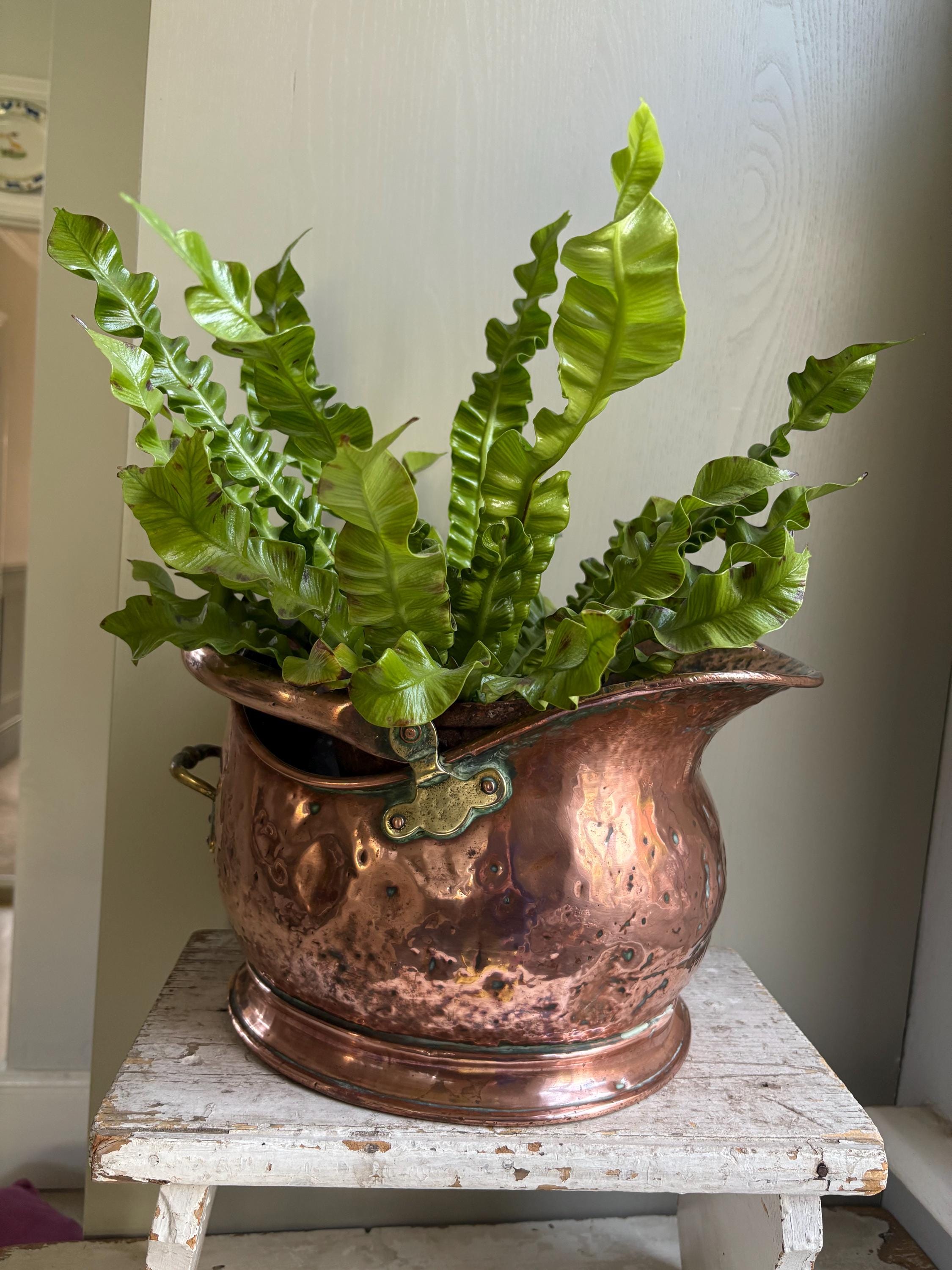 Small Copper Coal Bucket