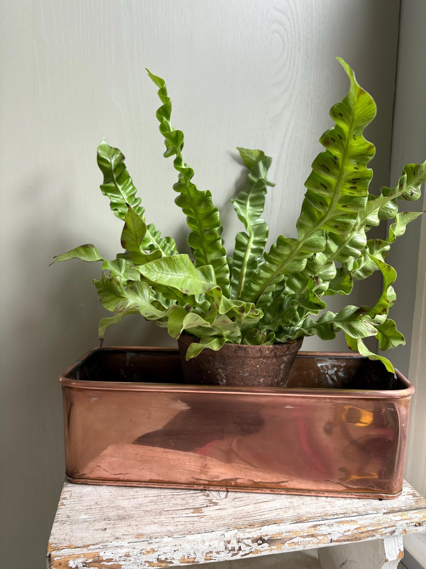Copper Trough, Copper Planter, Windowsill Planter.