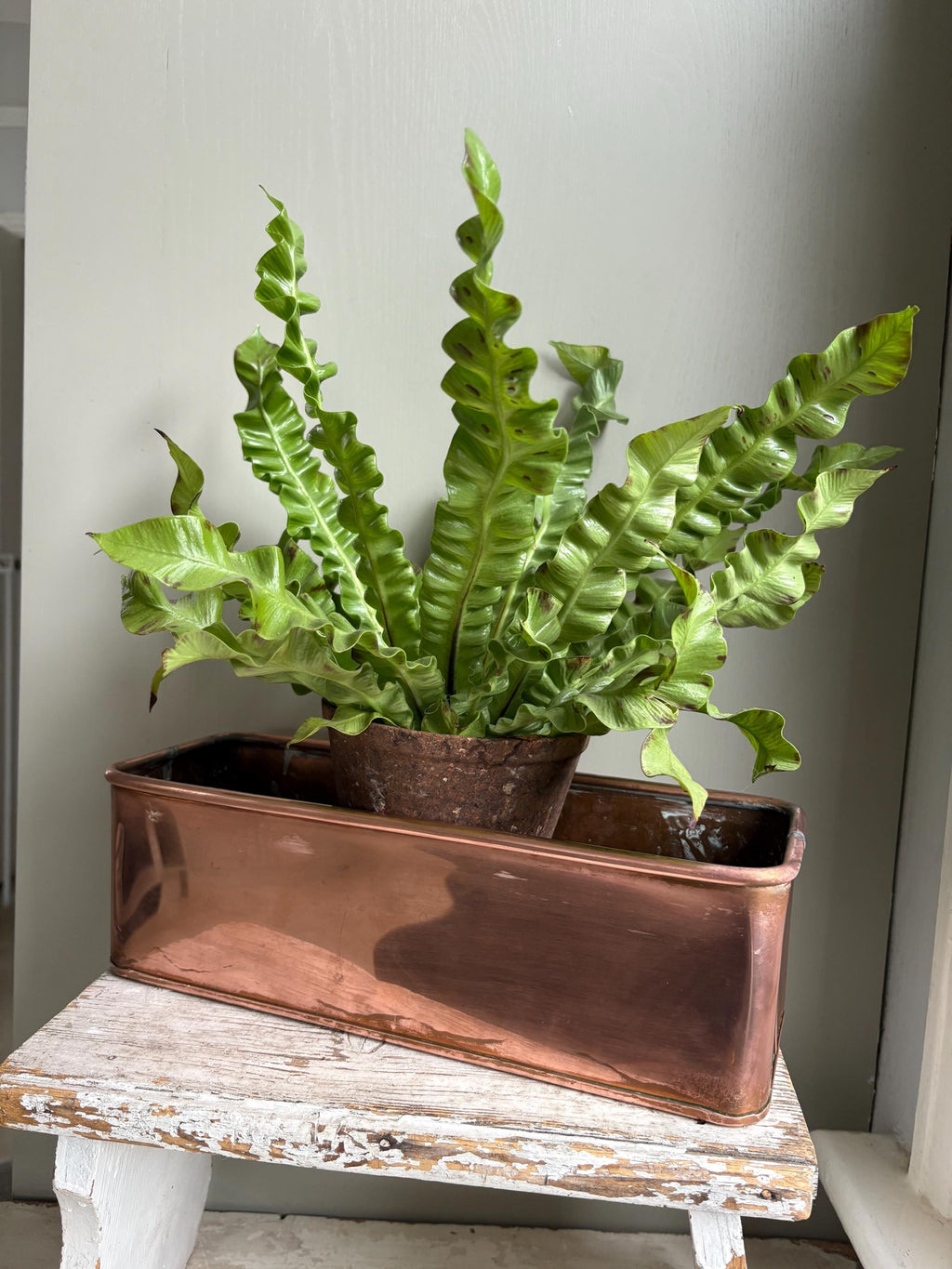 Copper Trough, Copper Planter, Windowsill Planter.