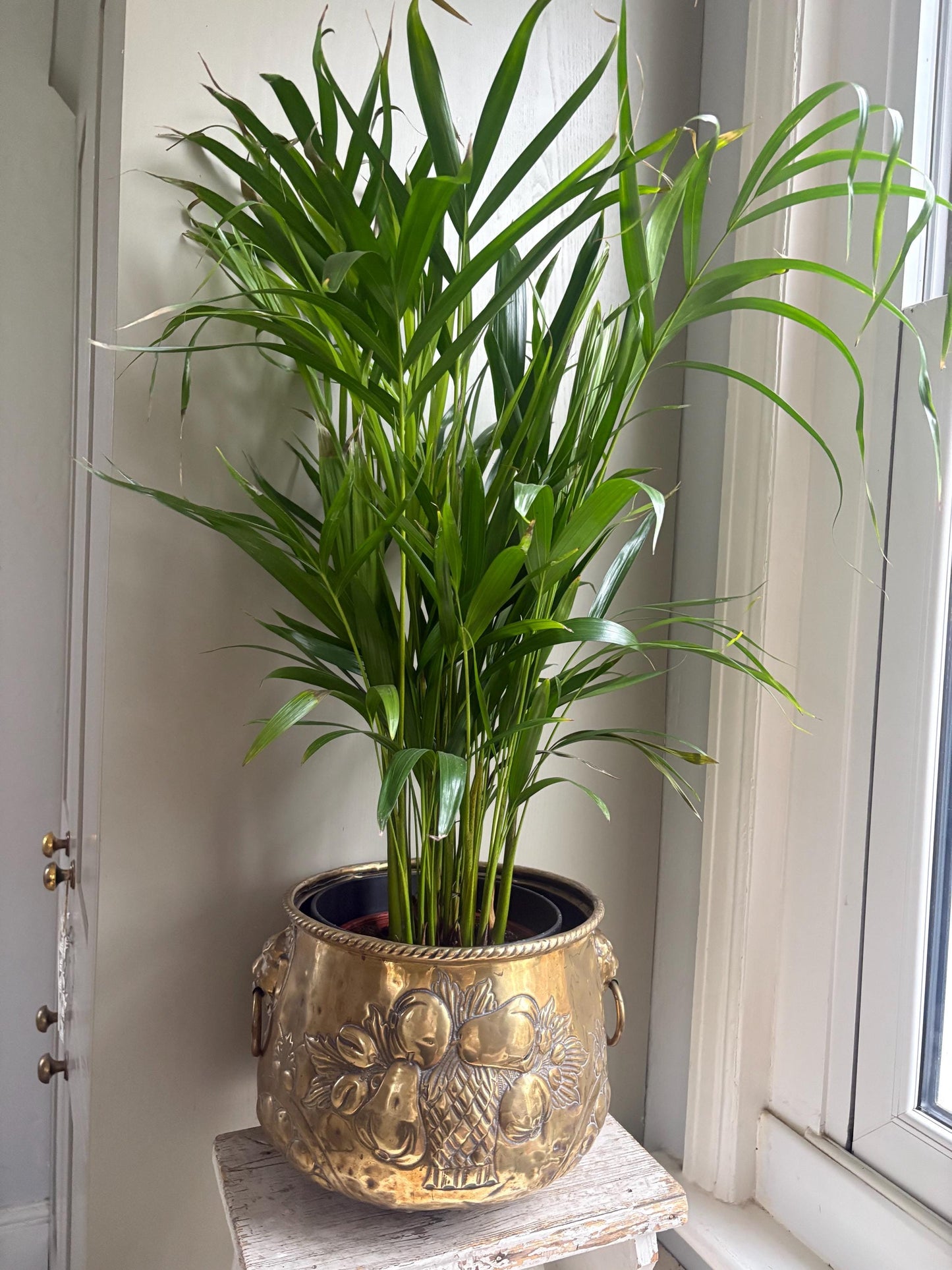 Large Brass Planter/Jardinere