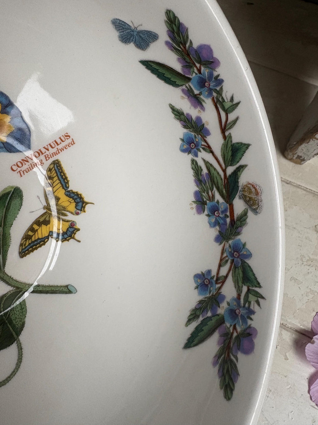 Portmeirion Convolvulus Bowl