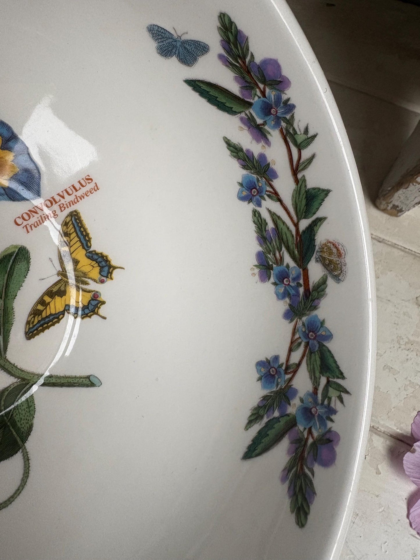 Portmeirion Convolvulus Bowl