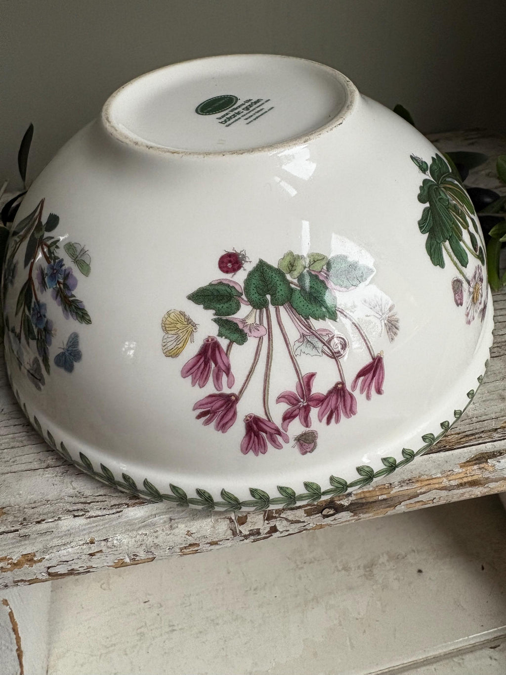 Portmeirion Convolvulus Bowl