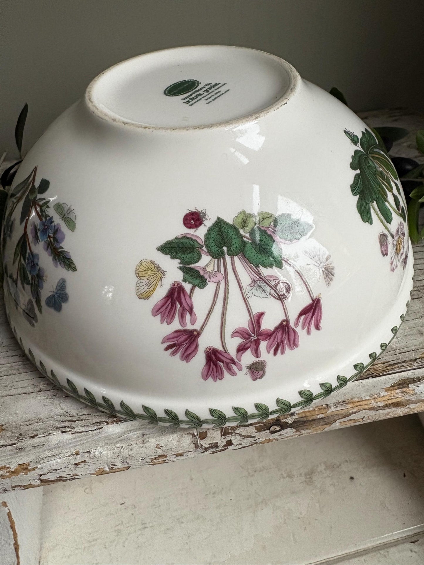 Portmeirion Convolvulus Bowl