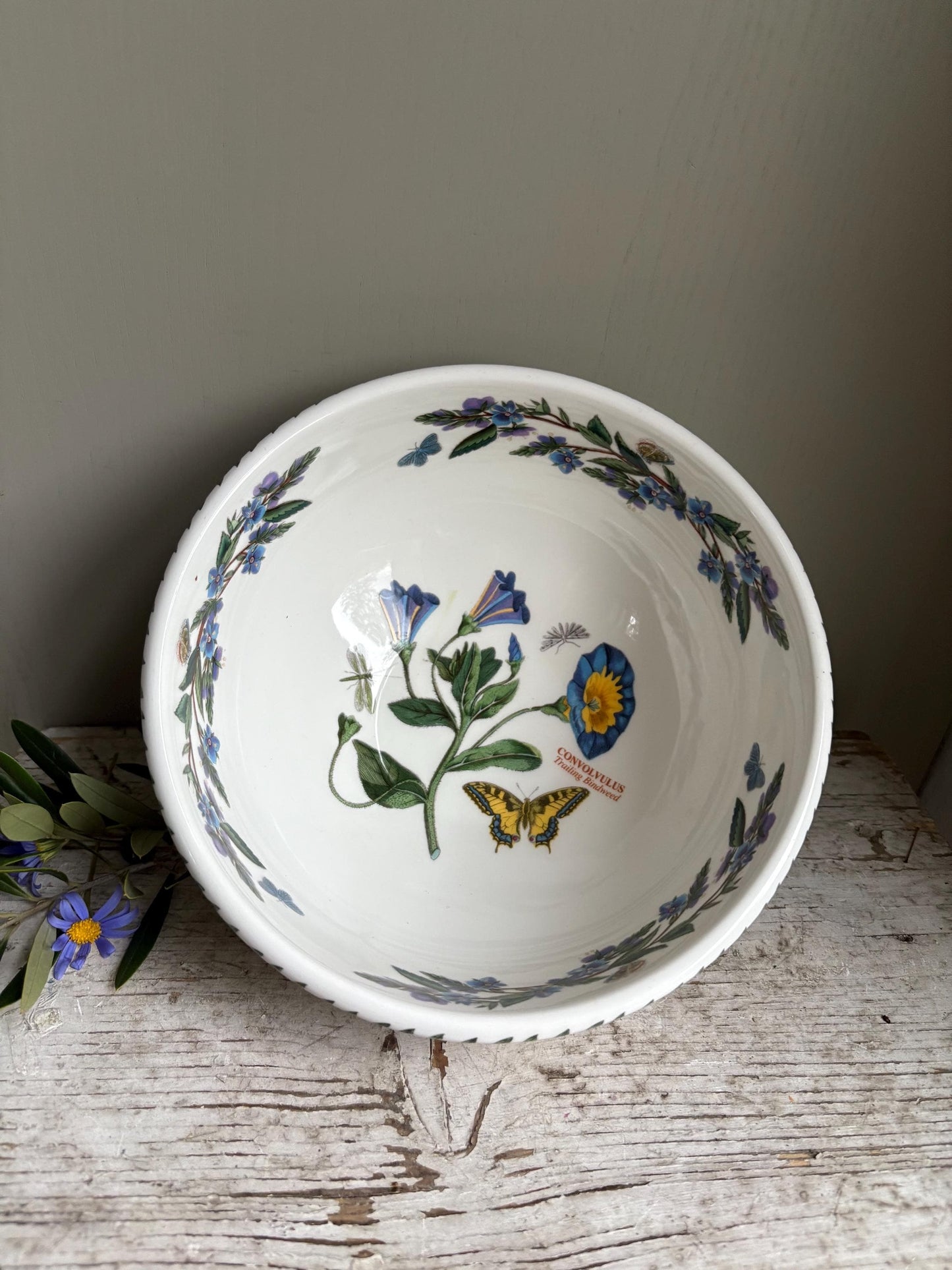 Portmeirion Convolvulus Bowl