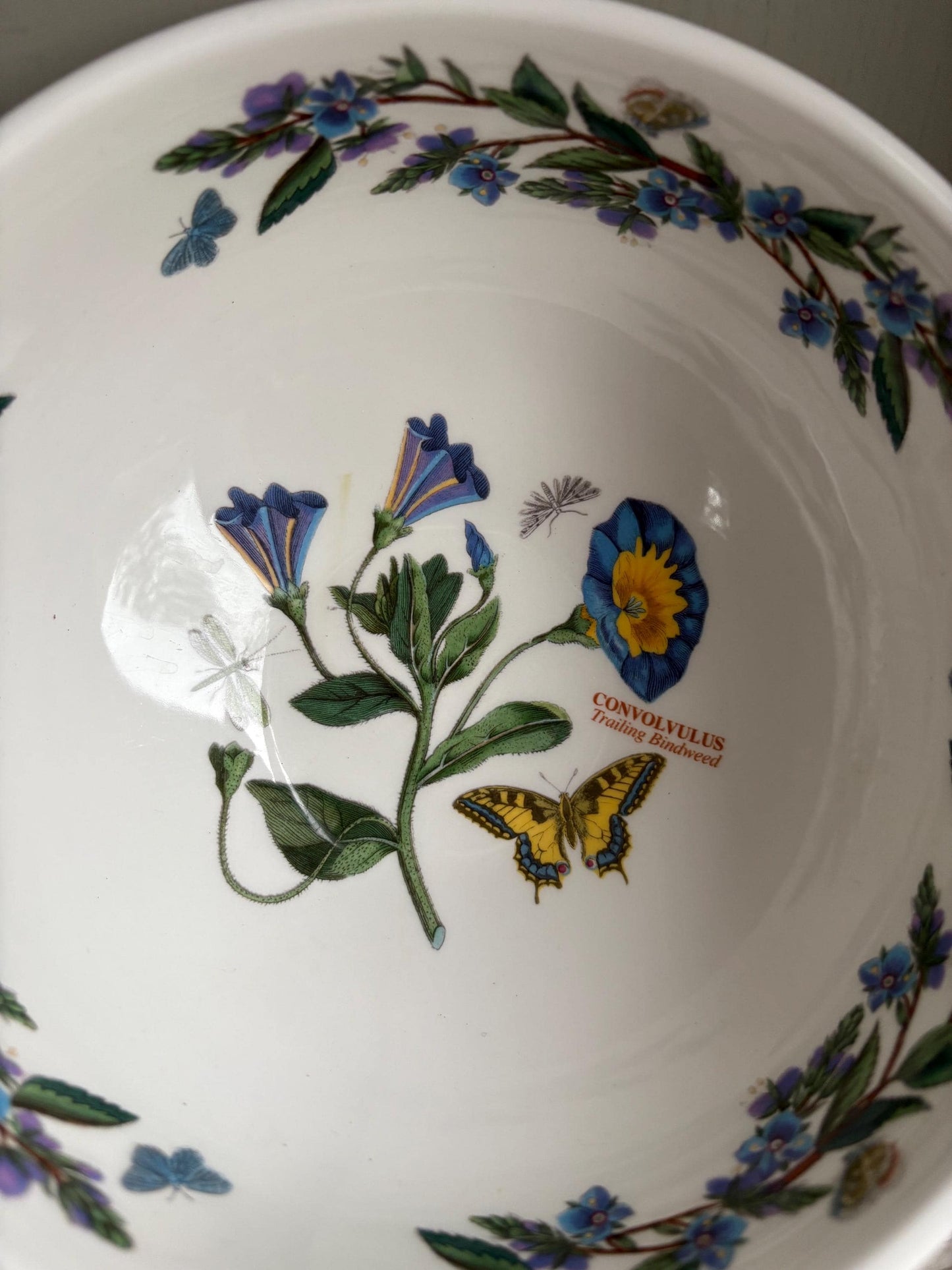 Portmeirion Convolvulus Bowl